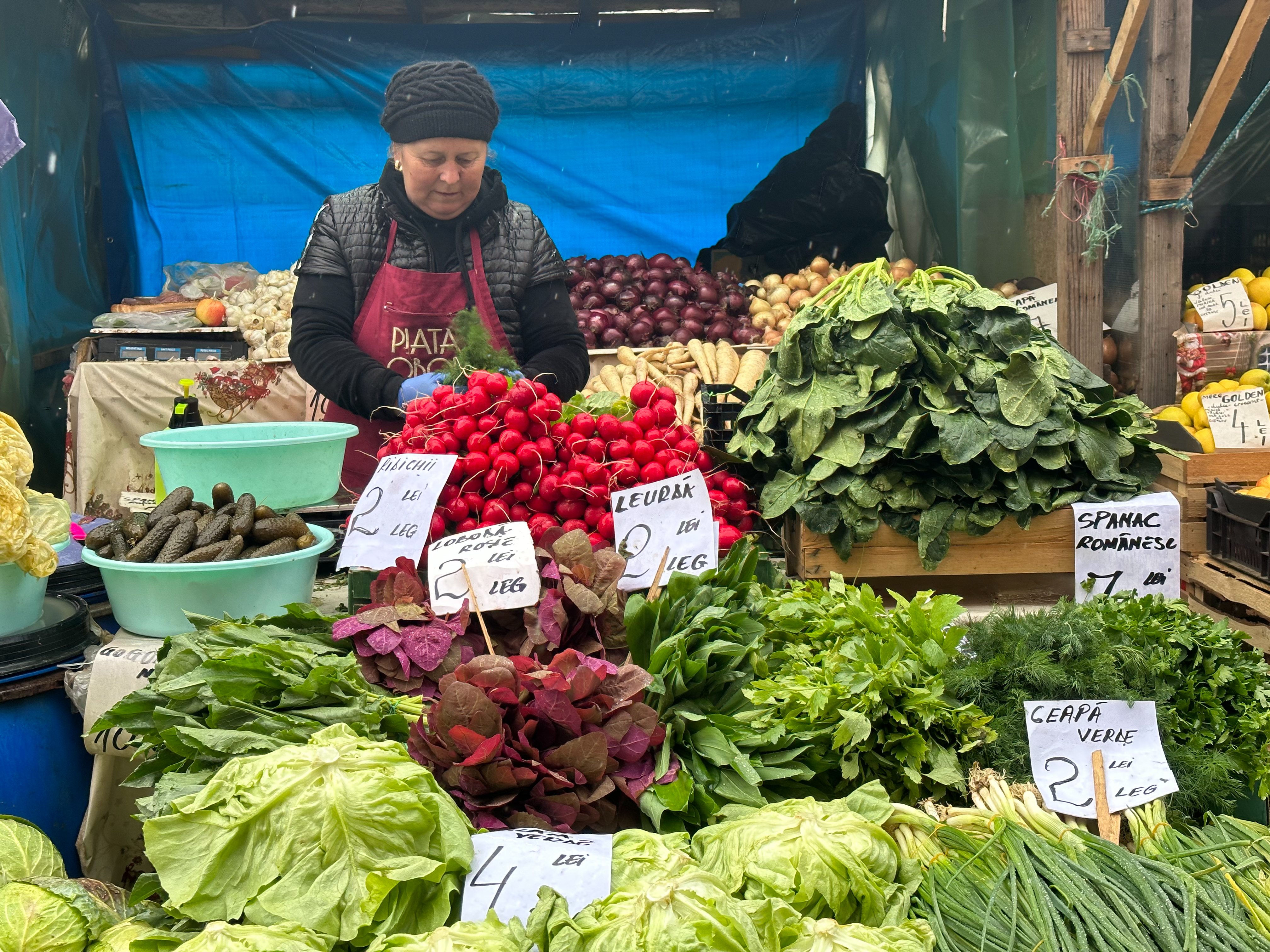 PREȚURI MARI. O altă versiune a realității din Piața Obor decât cea din Financial Times: „Am clienți cărora le dau pe datorie”. De ce a ajuns ceapa să coste 8 lei kilogramul și castraveții 20