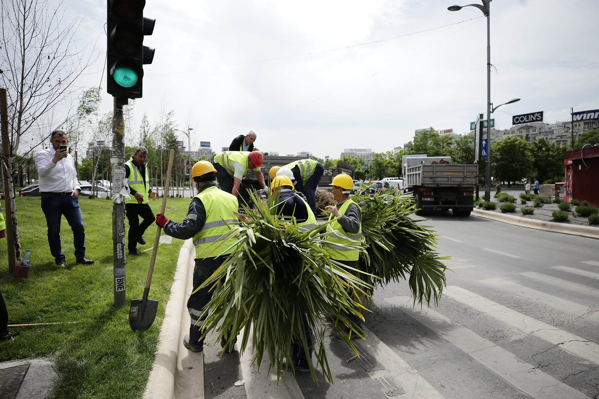 Nicușor Dan a scos palmierii puși de Negoiță la Piața Unirii, în urmă cu două zile. „Nu este vreo țară exotică”. Cei doi primari se atacă reciproc