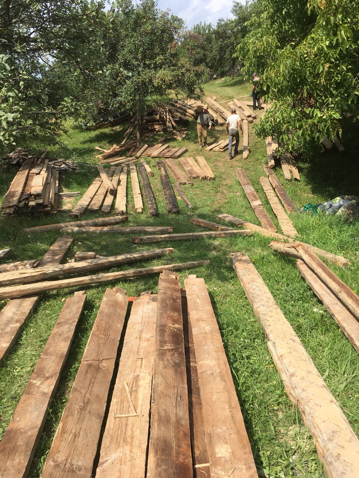 Sorin Brotnei pune pe pauză un proiect de suflet pentru  a pleca în Madagascar, în ”Ultimul Trib” | FOTO