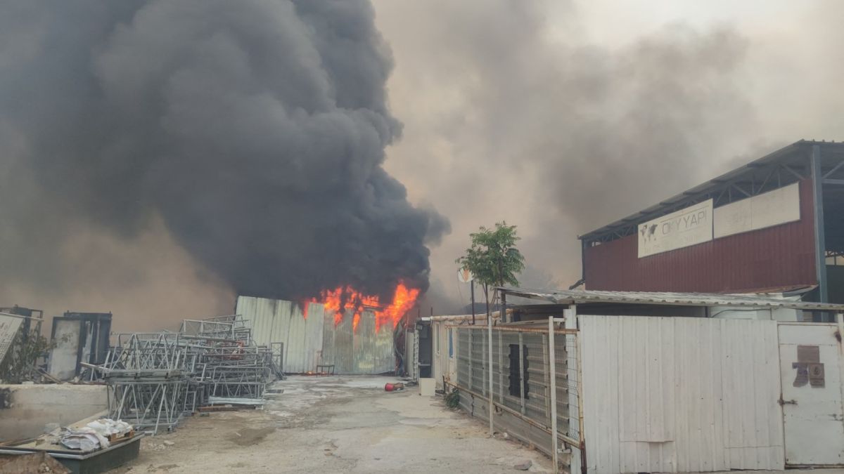 Un incendiu de pădure s-a extins până în zonele rezidențiale din orașul turc Izmir. Oameni evacuați din mai multe cartiere