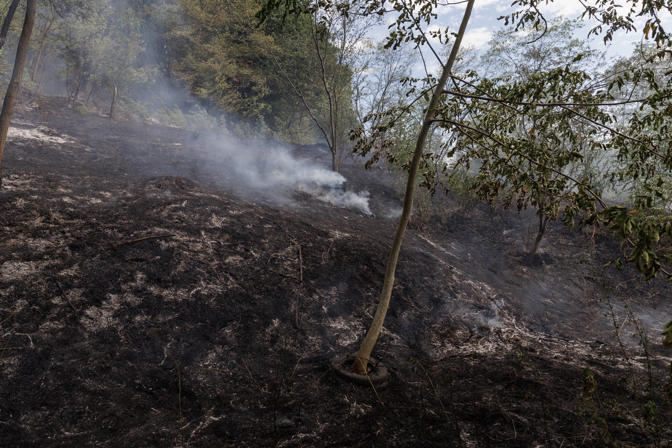 FOTOREPORTAJ Incendiu de vegetație la Drăganu, Argeș. Alături de pompieri, localnicii au sărit să ajute și ei, cu furtunuri, găleți și lopeți, în lupta cu focul care amenința casele