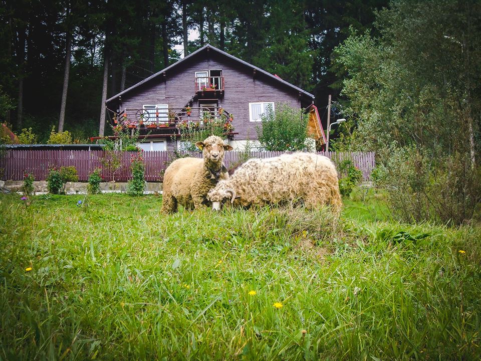 FOTO/Și copiii din centrele de plasament vor să ajungă mari! Au învățat să facă fotografii și au arătat lumii bucăți din sufletele lor