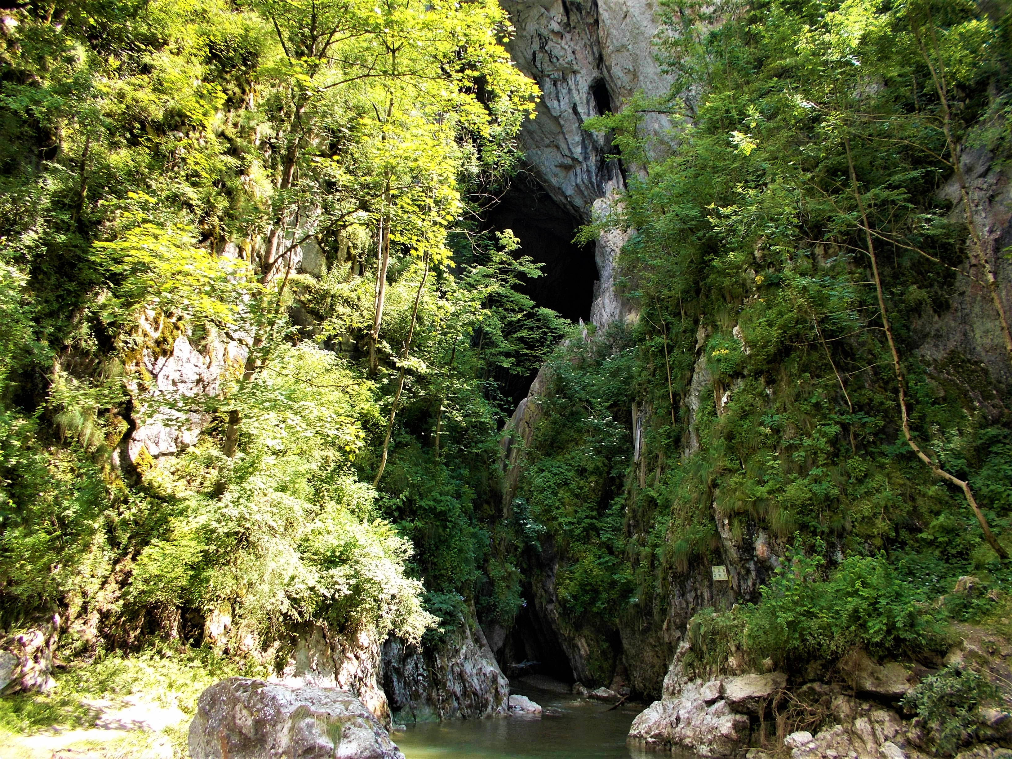 Peșteri din România - cele mai frumoase peșteri care merită explorate
