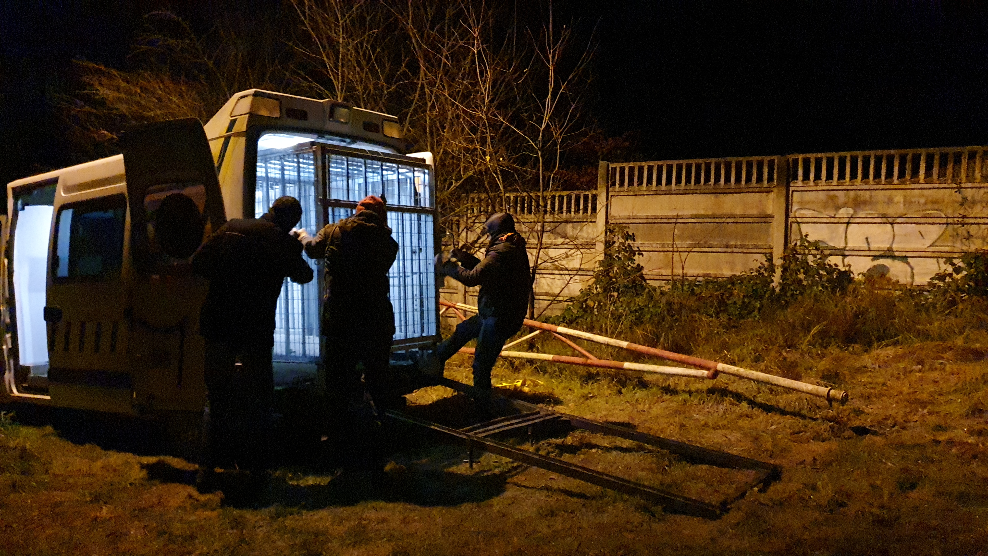 O ursoaică şi doi pui, capturați în Brașov, și-au găsit adăpost la Sanctuarul Libearty de la Zărneşti