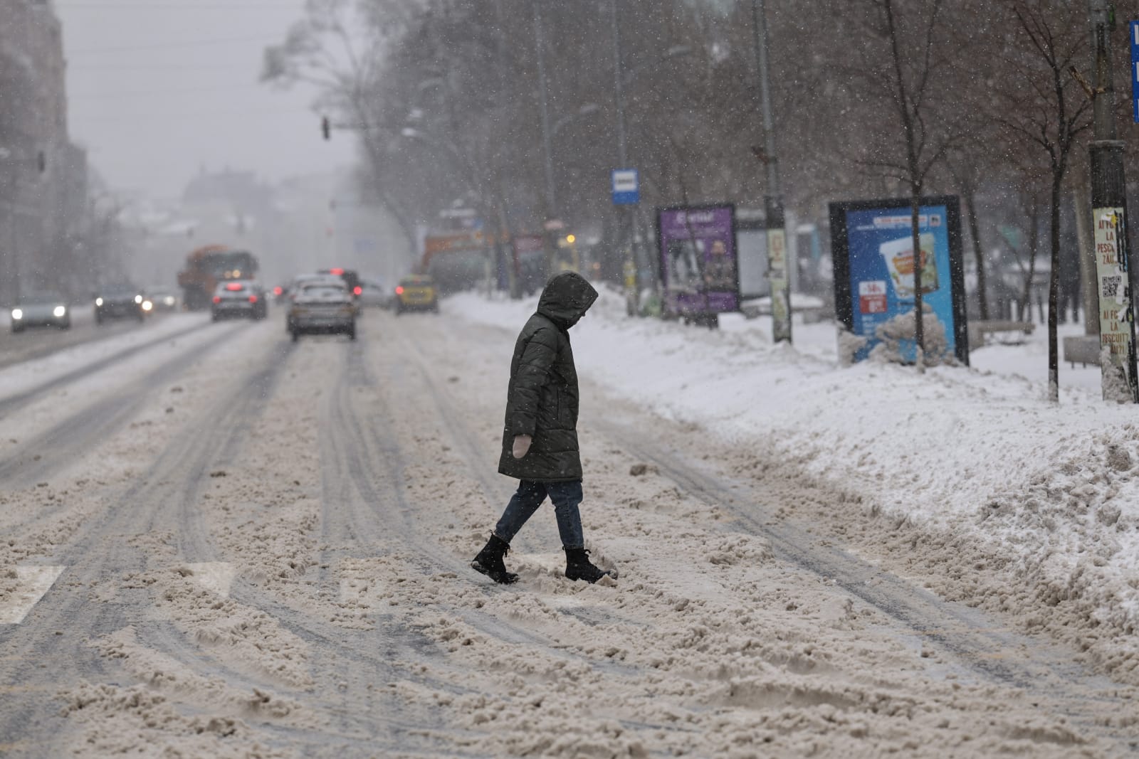 Codul galben de ninsori și viscol a făcut prăpăd în mai multe județe: copaci rupți și mașini distruse în București, drumuri închise sau restricționate în 16 județe | VIDEO