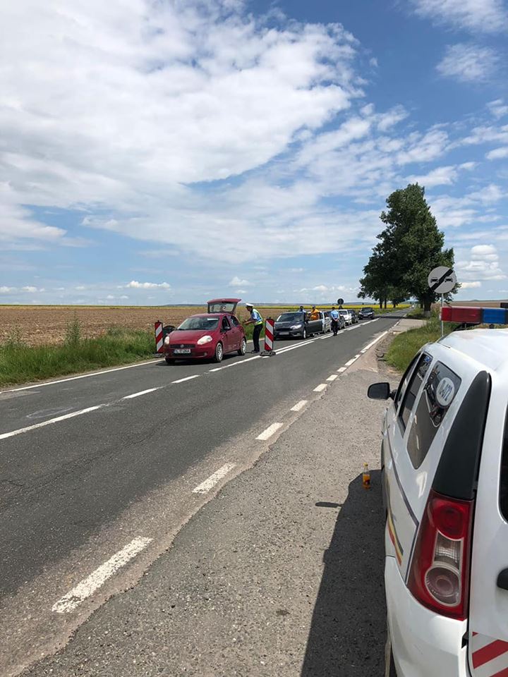 Stare de alertă în județul Tulcea. Pesta porcină africană afectează oamenii de rând, dar și marele producător Carniprod/ FOTO