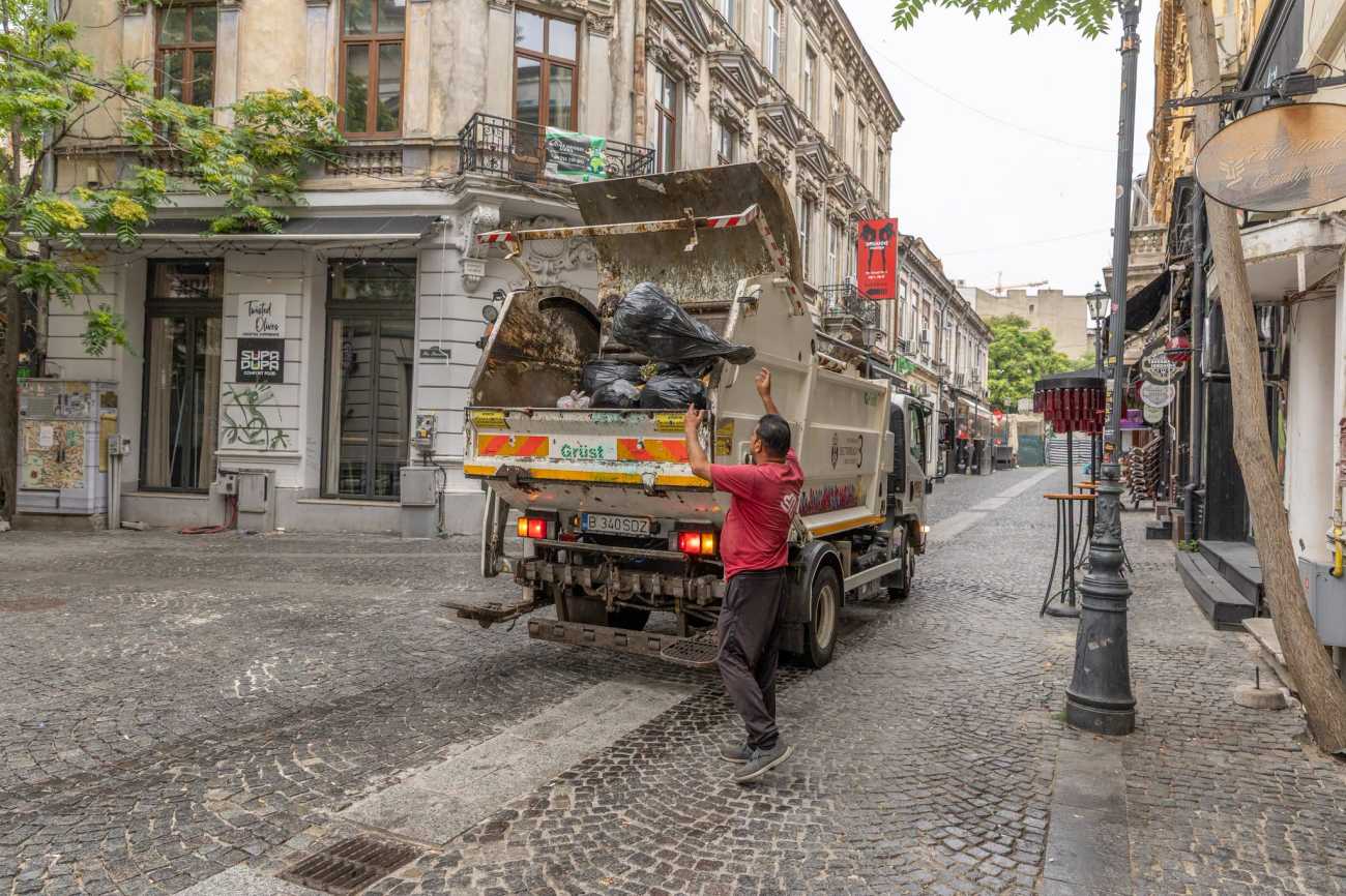 De ce sunt mulți șobolani în București. Primăria Capitalei a făcut un apel la locuitori pentru ca deratizarea să funcționeze