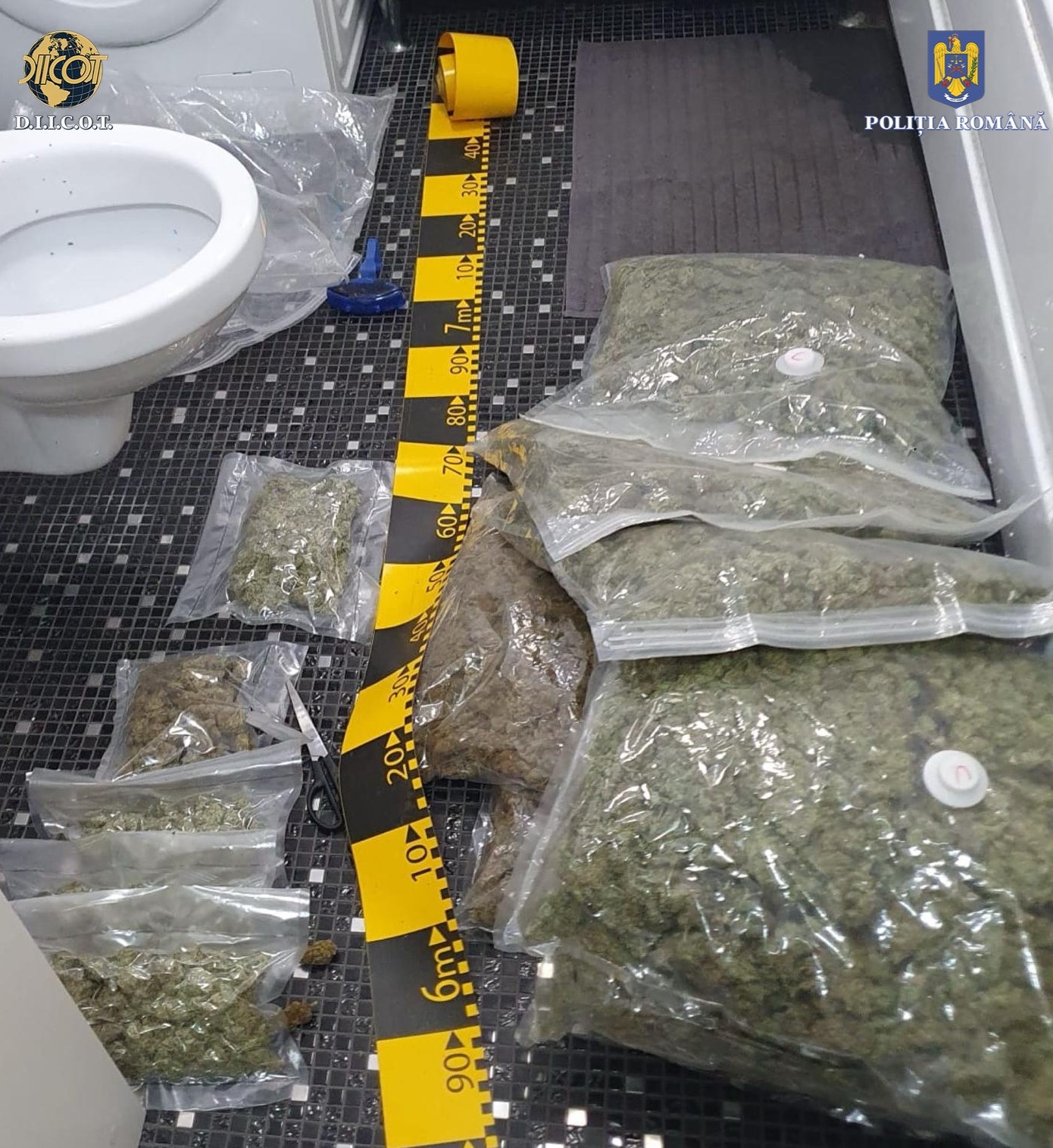 Geantă cu 130.000 de euro aruncată pe geam în timpul unor percheziții la dealeri de droguri din Cluj și Iași. Captura făcută de polițiști