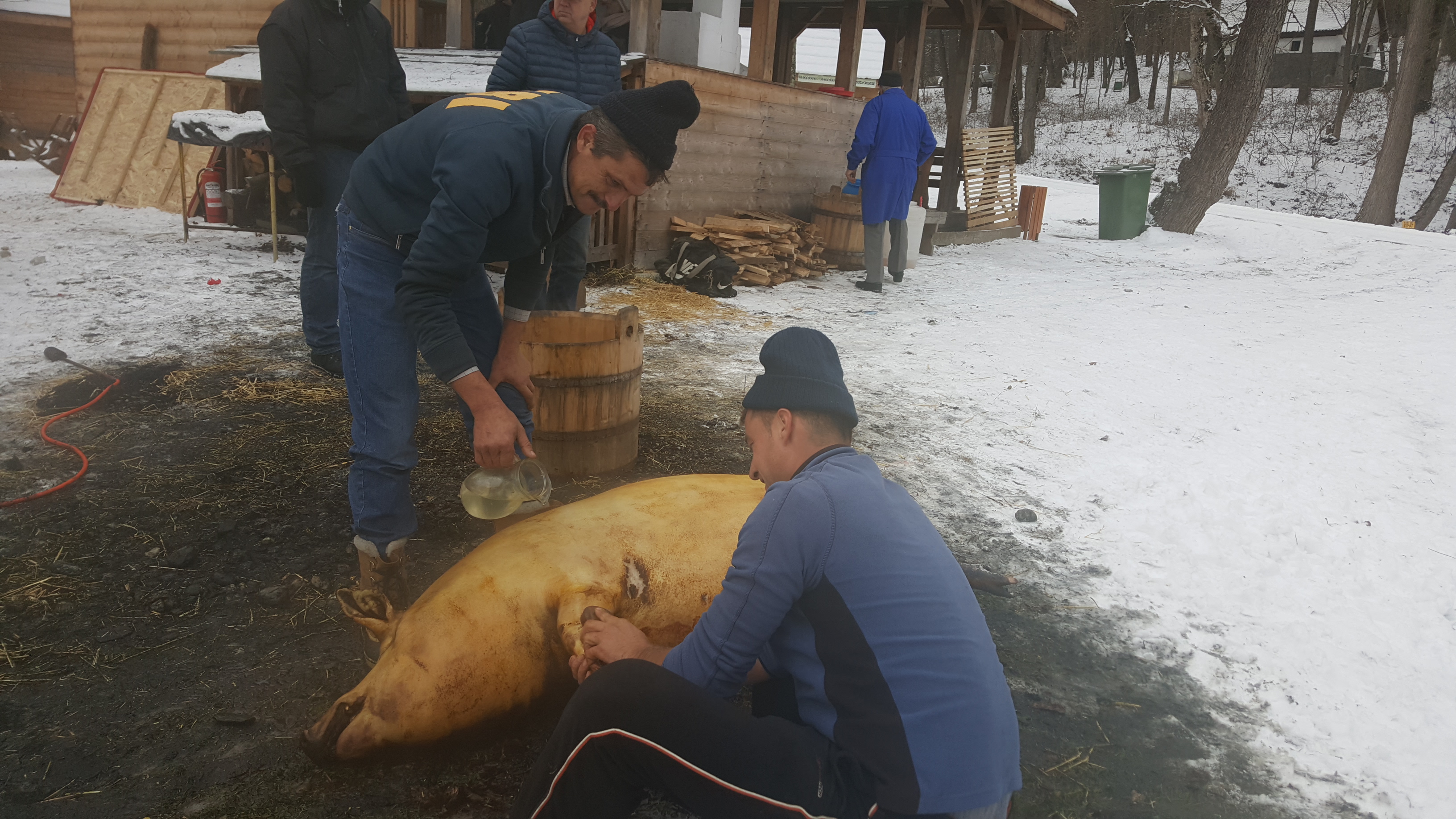 Tradiția Ignatului a fost pusă în scenă la Sibiu GALERIE FOTO