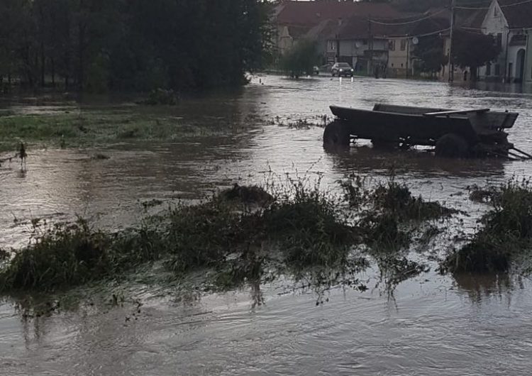 Inundații în Maramureș după ploile torențiale. Șuvoaile au făcut prăpăd și alte județe din țară / FOTO&VIDEO
