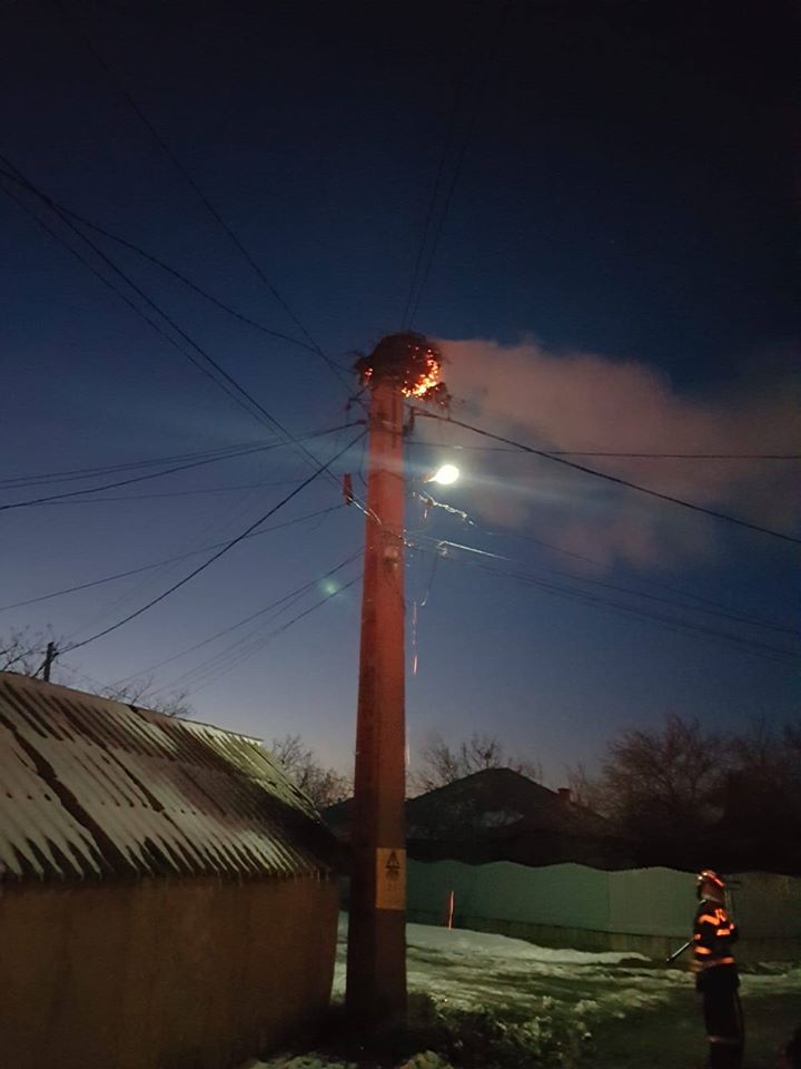 Misiune neobișnuită: pompieri chemați să stingă incendiul de la un cuib de barză