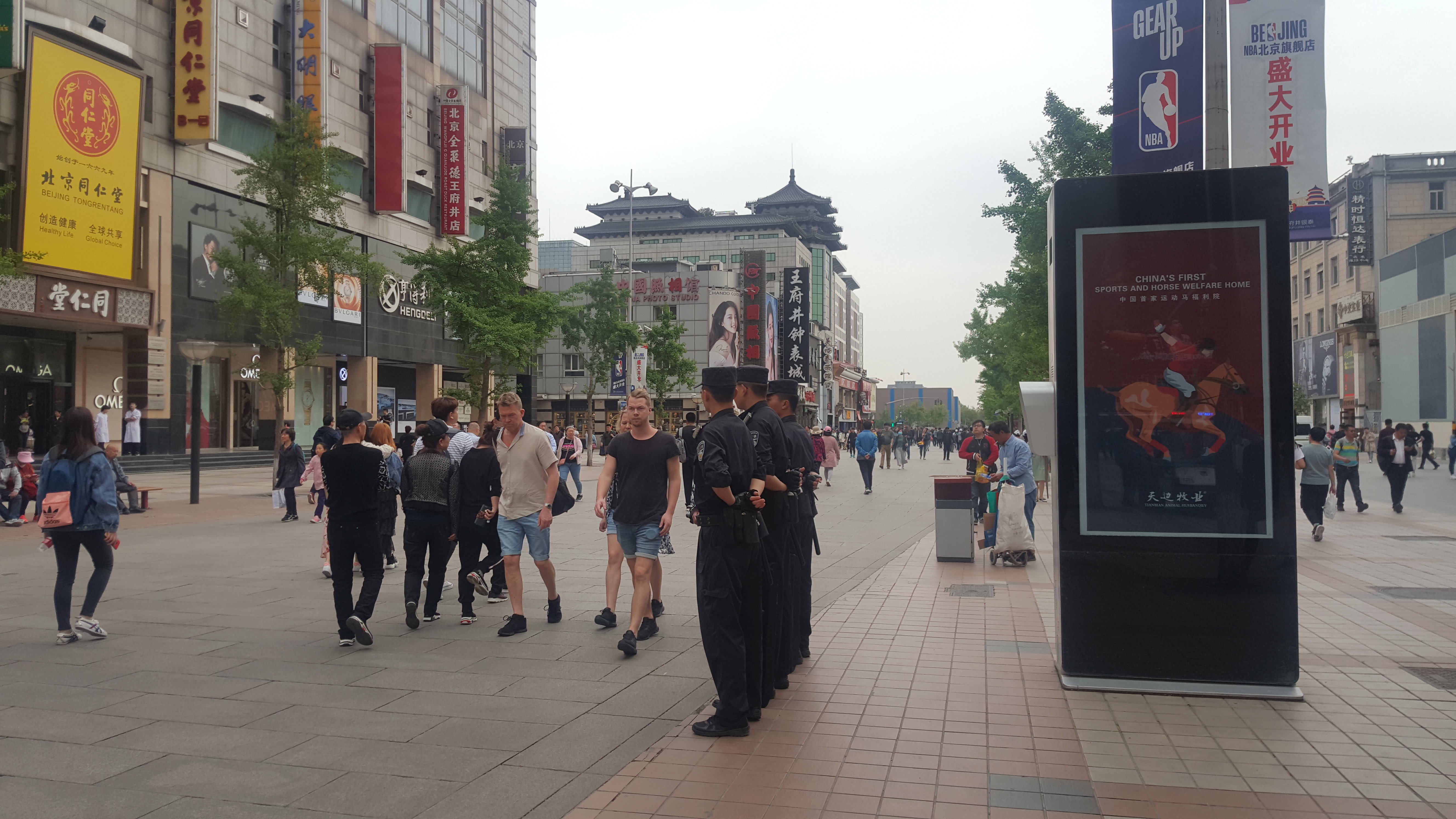 CORESPONDENȚĂ DIN SICHUAN și BEIJING, ULTIMUL CAPITOL | Scriitoarea Doina Ruști, despre plimbarea pe strada unuia dintre cei mai importanți poeți chinezi și excursia la Marele Zid