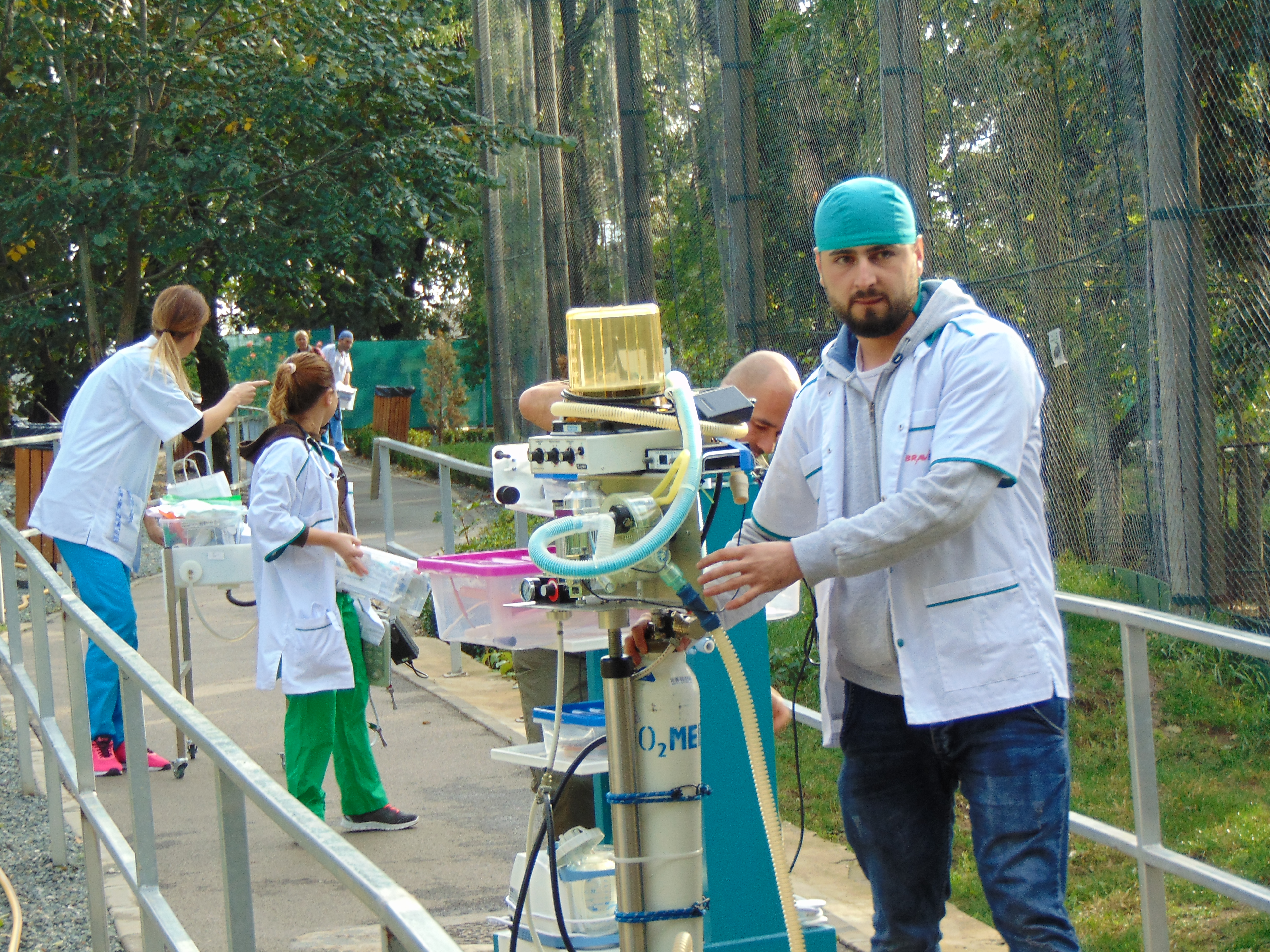 Premieră medicală la ZOO Galaţi! Tigrul a fost investigat chiar în cușcă! Desfășurare impresionantă de forțe GALERIE FOTO