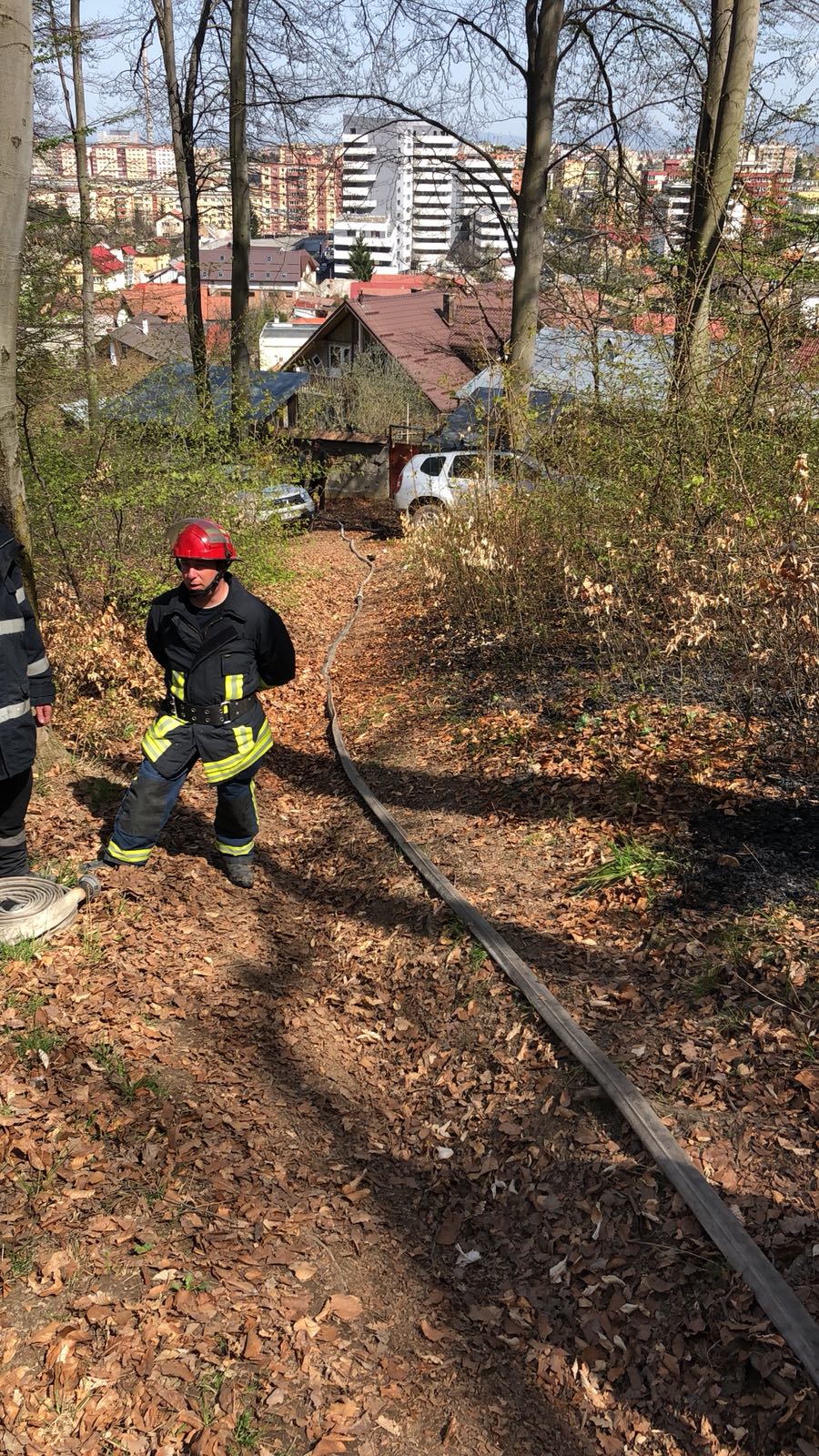 Incendiu de pădure la Răcădău, în Braşov. Au ars 500 de metri pătrați de lizieră/ FOTO