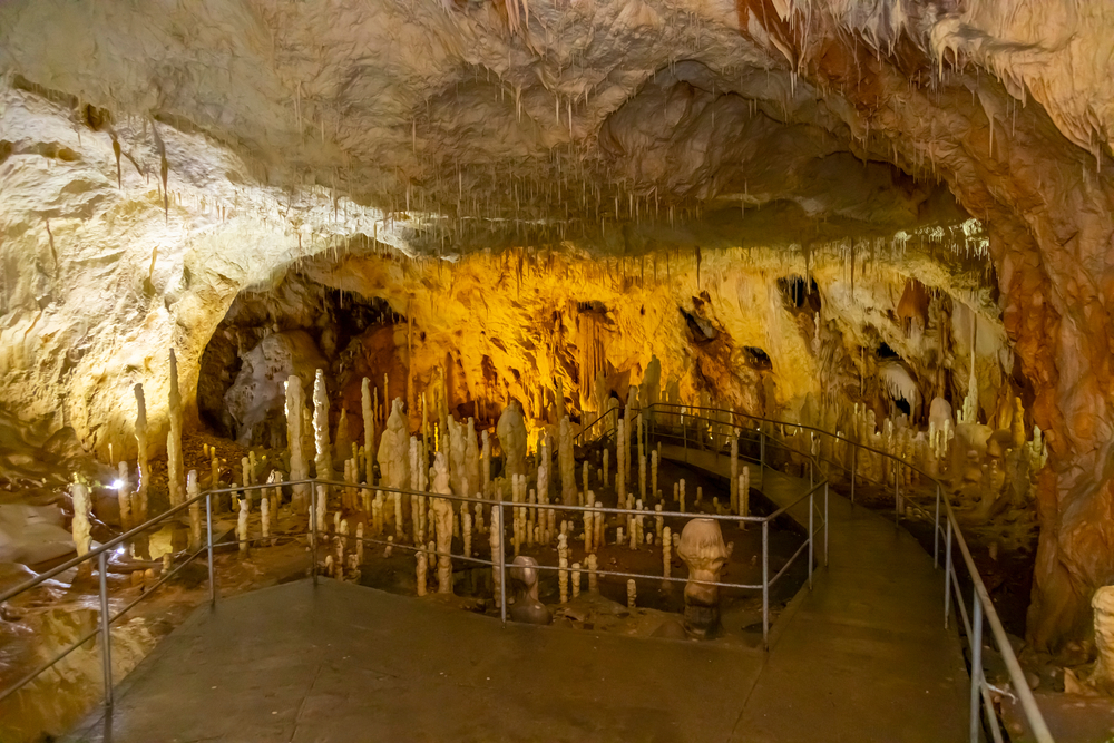 Băile Felix – unde se află și ce activități poți face. Obiective turistice în zonă