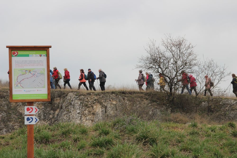 Járjon be egy kardiosövényt, és mérje fel, mennyire egészséges a szíve