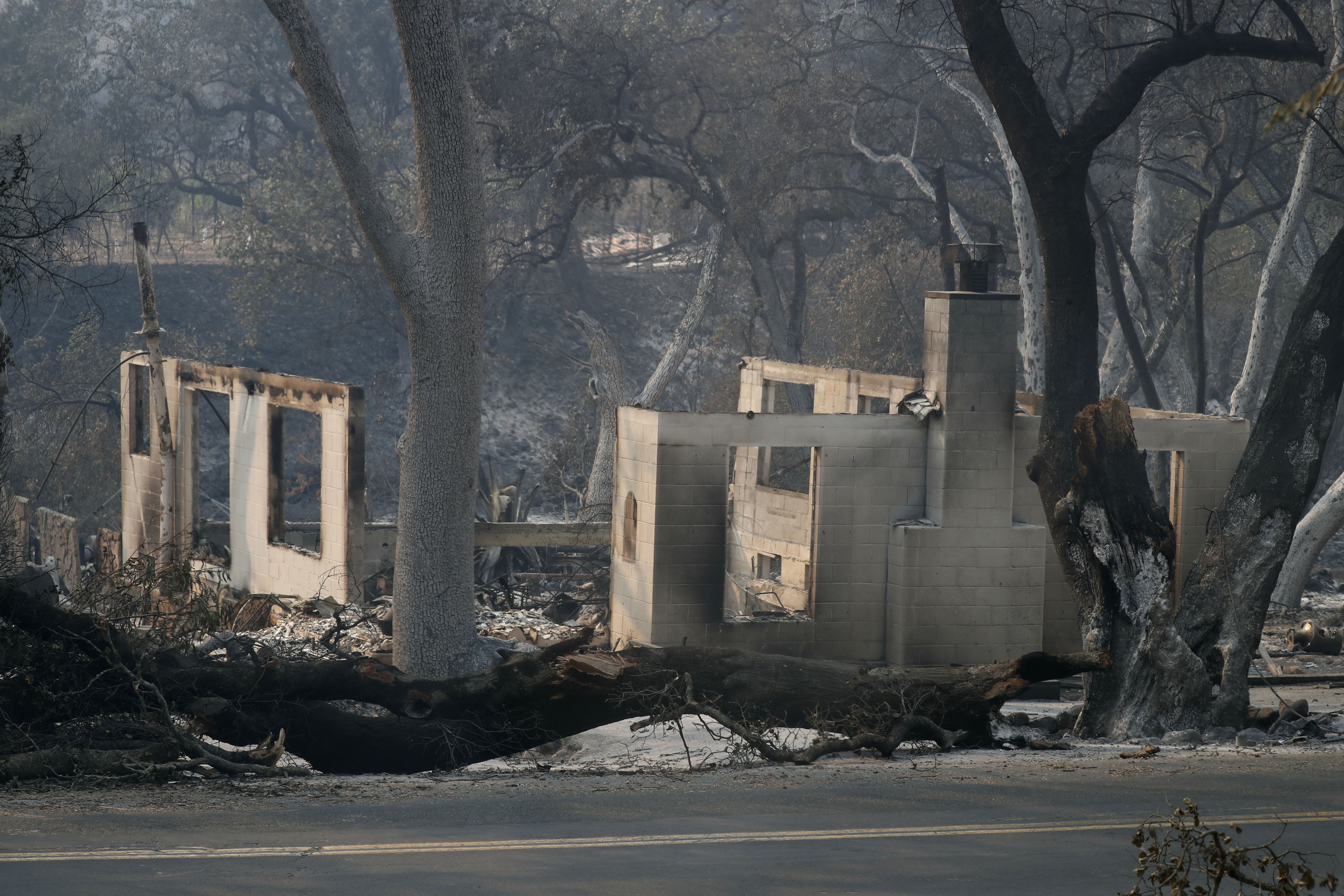 GALERIE FOTO| Incendii devastatoare în California. Cel puțin 23 de persoane au murit, mii de case și terenuri au fost distruse de foc