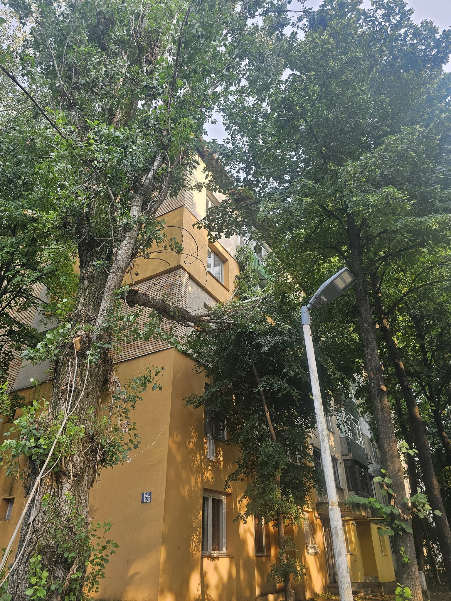 Furtună puternică la Giurgiu. Acoperișuri luate de vânt, mașini avariate și copaci puși la pământ