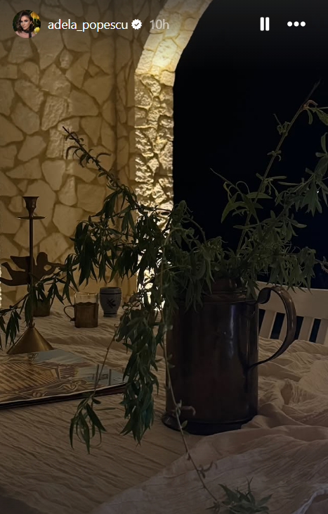Imagini rare cu noua casă a Adelei Popescu și Radu Vâlcan de la Șușani. Cum și-au amenajat locuința după terminarea lucrărilor. „Eu mor de plăcere”