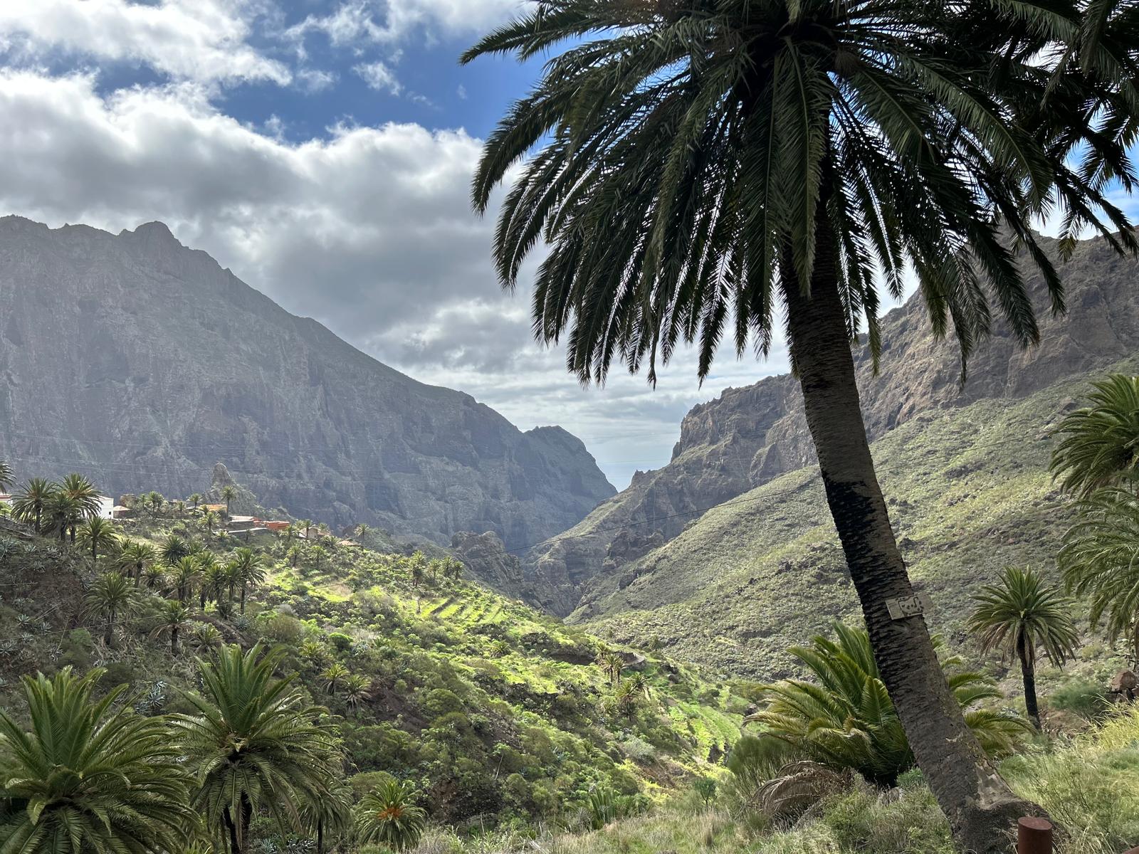 Ce înseamnă „dramatic scene mountain”. Cum ajungi la Masca, satul uitat din Tenerife