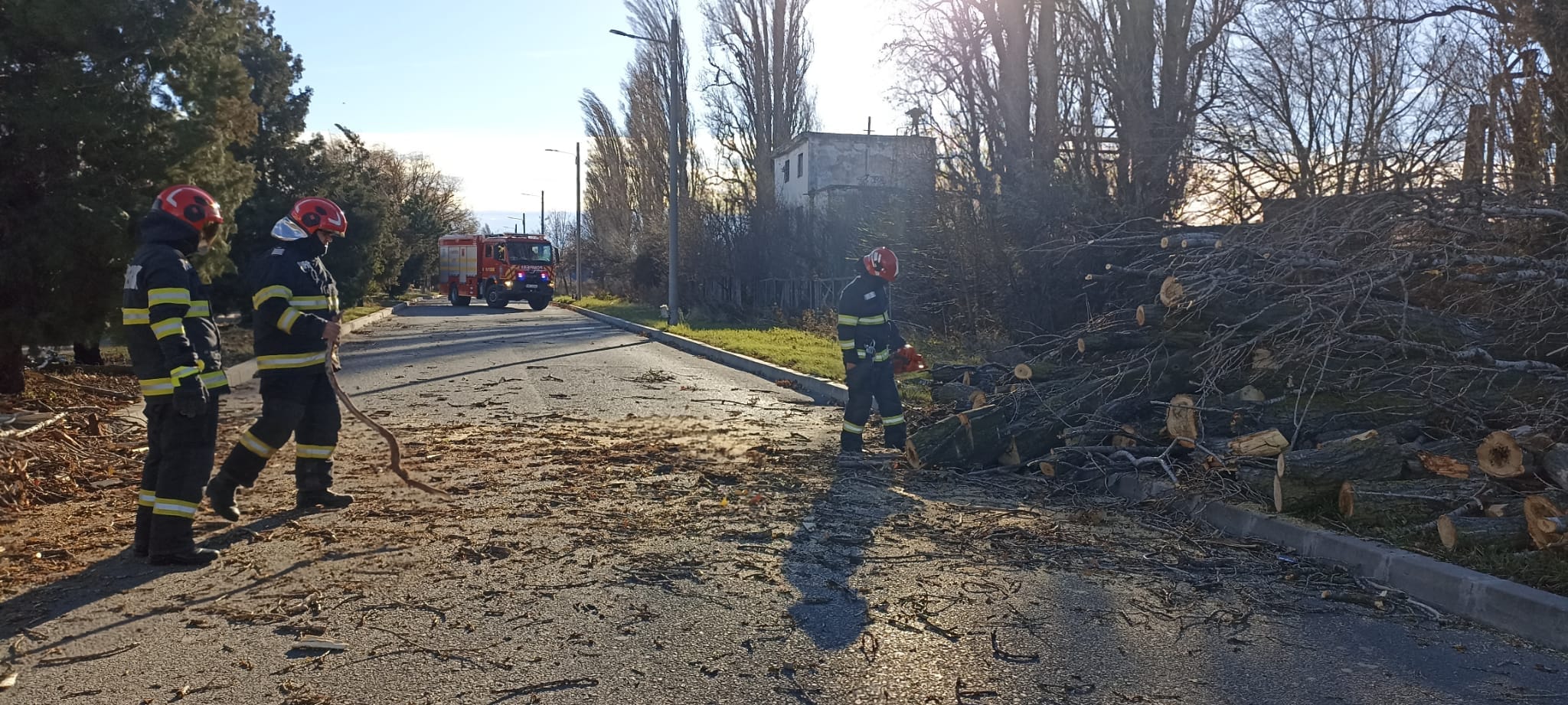 Alertă de vânt puternic în Giurgiu: mai mulți copaci, doborâți de rafalele puternice. Unul a căzut peste o mașină