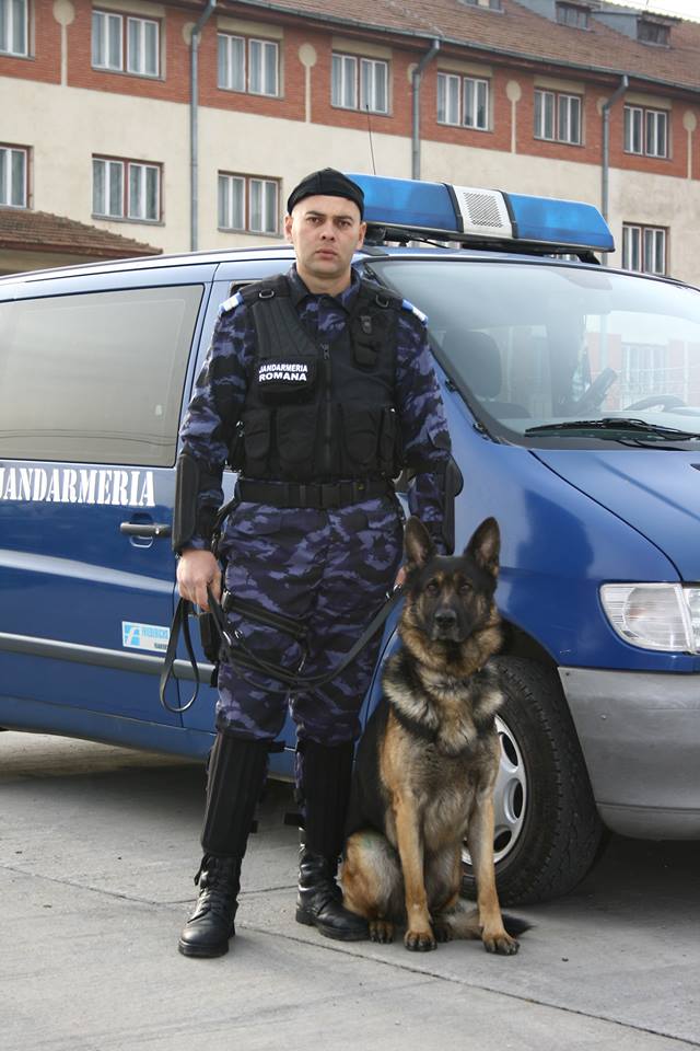 REPORTAJ/ Jandarmul Marius și câinele Mabanu, o prietenie mai presus de meserie. Deși a fost pensionat, ciobănescul german rămane cu plutonierul major/ (Foto&Video)