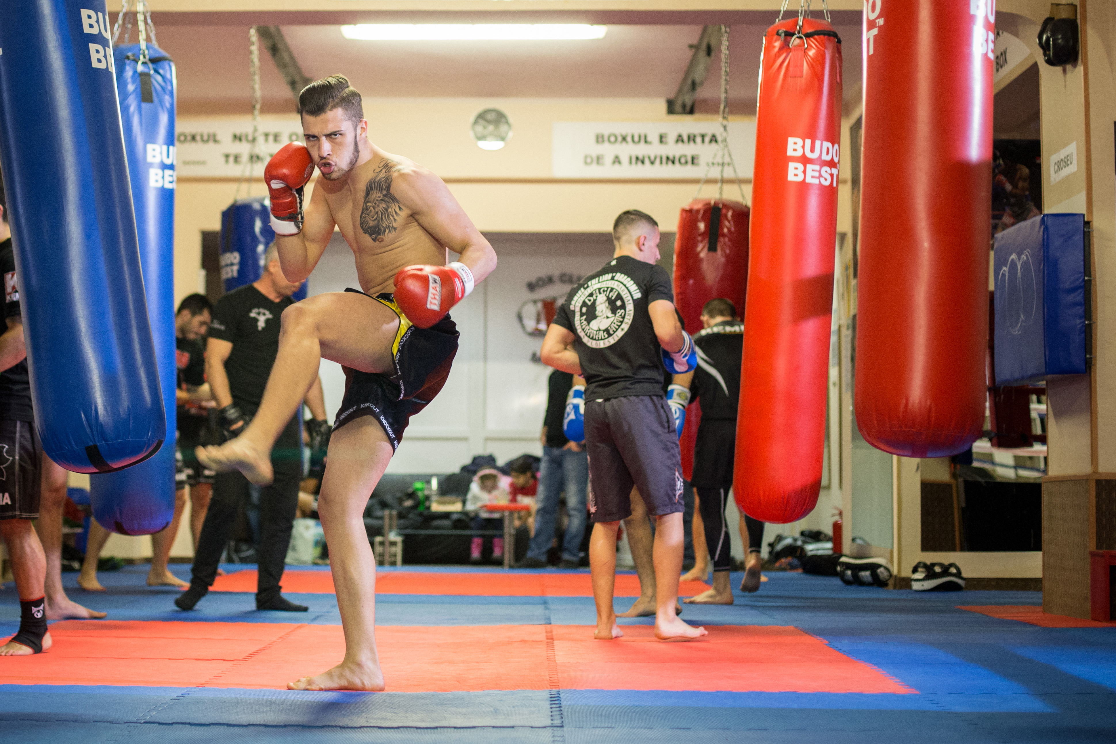 Kickboxing. Autorul celui mai rapid KO din lume luptă sâmbătă, la Ploiești / GALERIE FOTO
