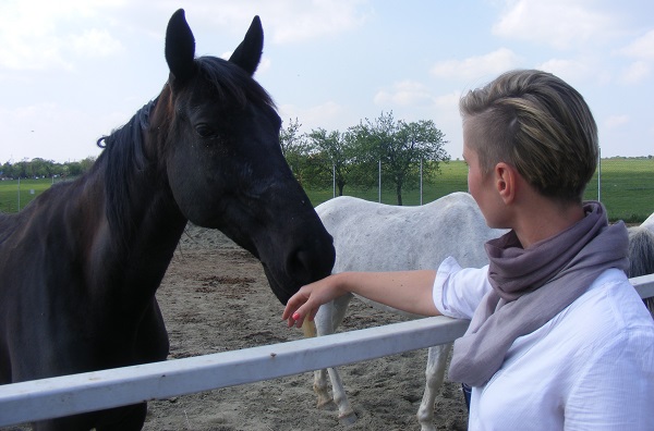 Api şi Ibuţ, căluții tămăduitori de lângă Timișoara