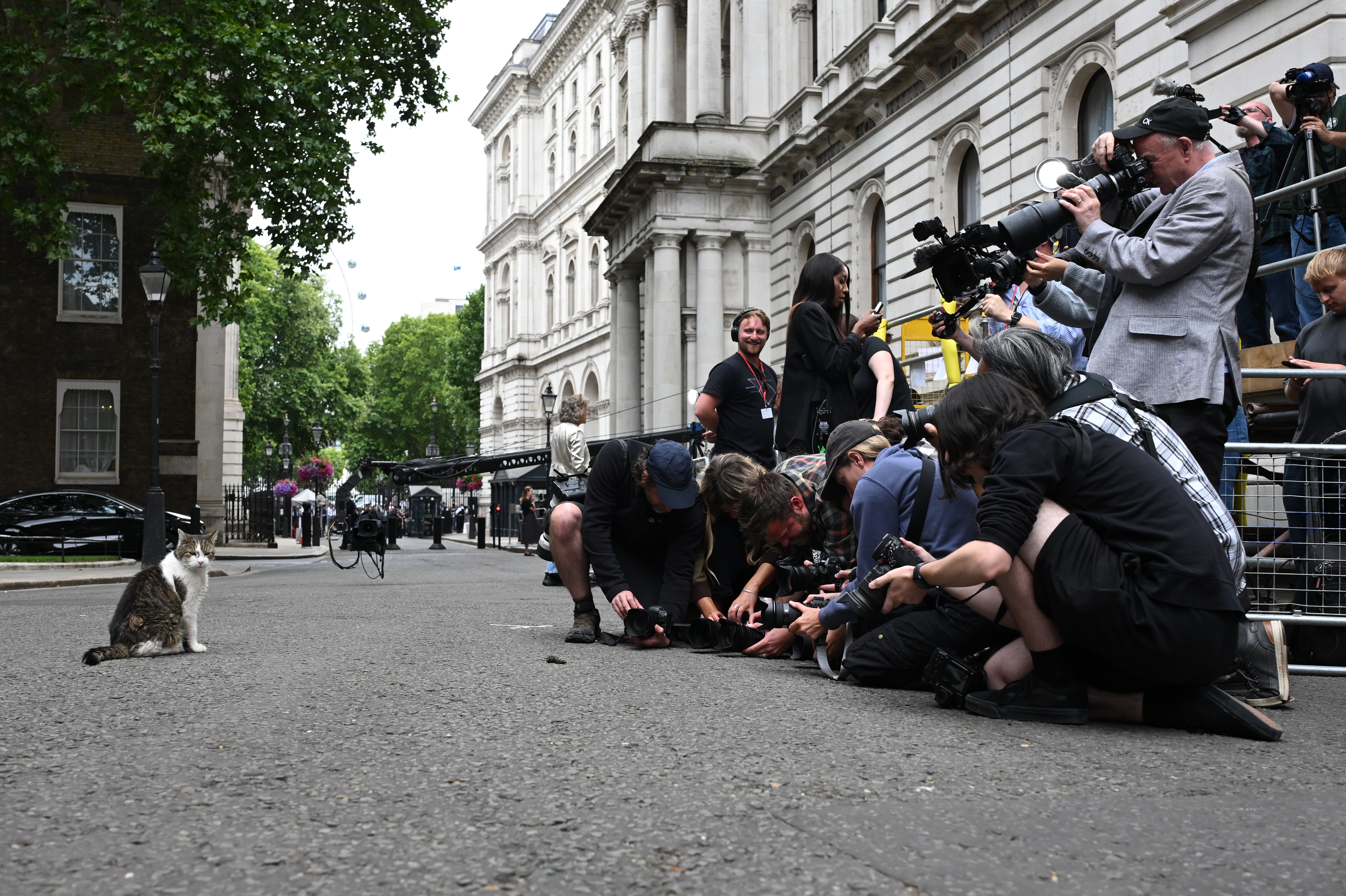 „Politicienii vin și pleacă, pisicile rămân”: Motanul Larry a ajuns la al șaptelea premier cu care împarte reședința de la 10 Downing Street