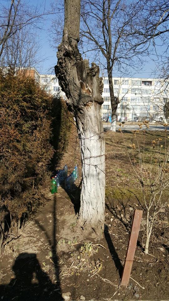 Un primar îi ceartă pe localnici pe Facebook. Sunt vizați „țăranii” sau „nesimțiții” care nu respectă curățenia