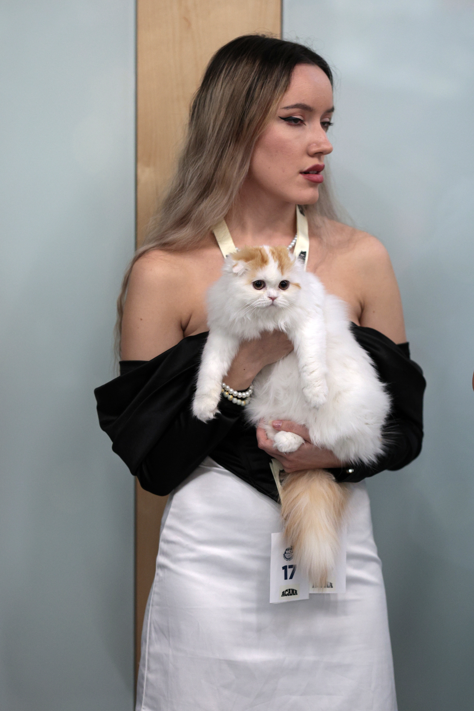 FOTO. Pisicile au pus stăpânire pe un mall din Capitală. Peste 250 de exemplare participă la Expoziția Internațională Feline WCF