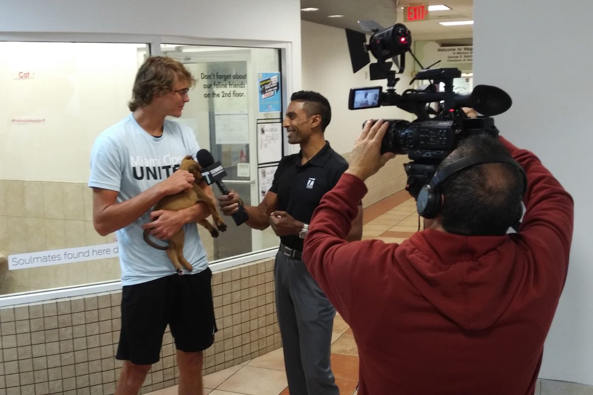 Alexander Zverev jr. a adoptat un cățel la Miami | GALERIE FOTO&VIDEO