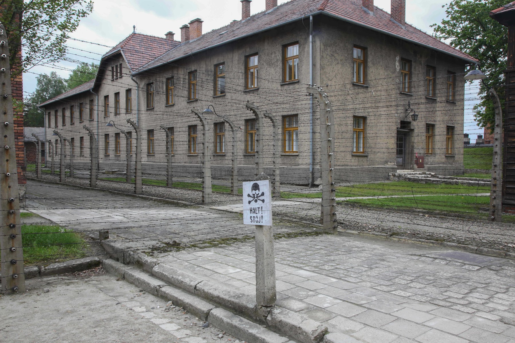 80 de ani de la eliberarea Auschwitz-ului. Ultimii martori ai Holocaustului se reunesc cu liderii lumii