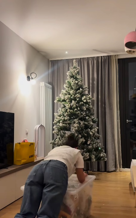 Imagini din sufrageria Alexiei Eram, decorată de Crăciun. Cât costă globurile în formă de cartofi prăjiți, muștar și ketchup pe care le-a pus în brad