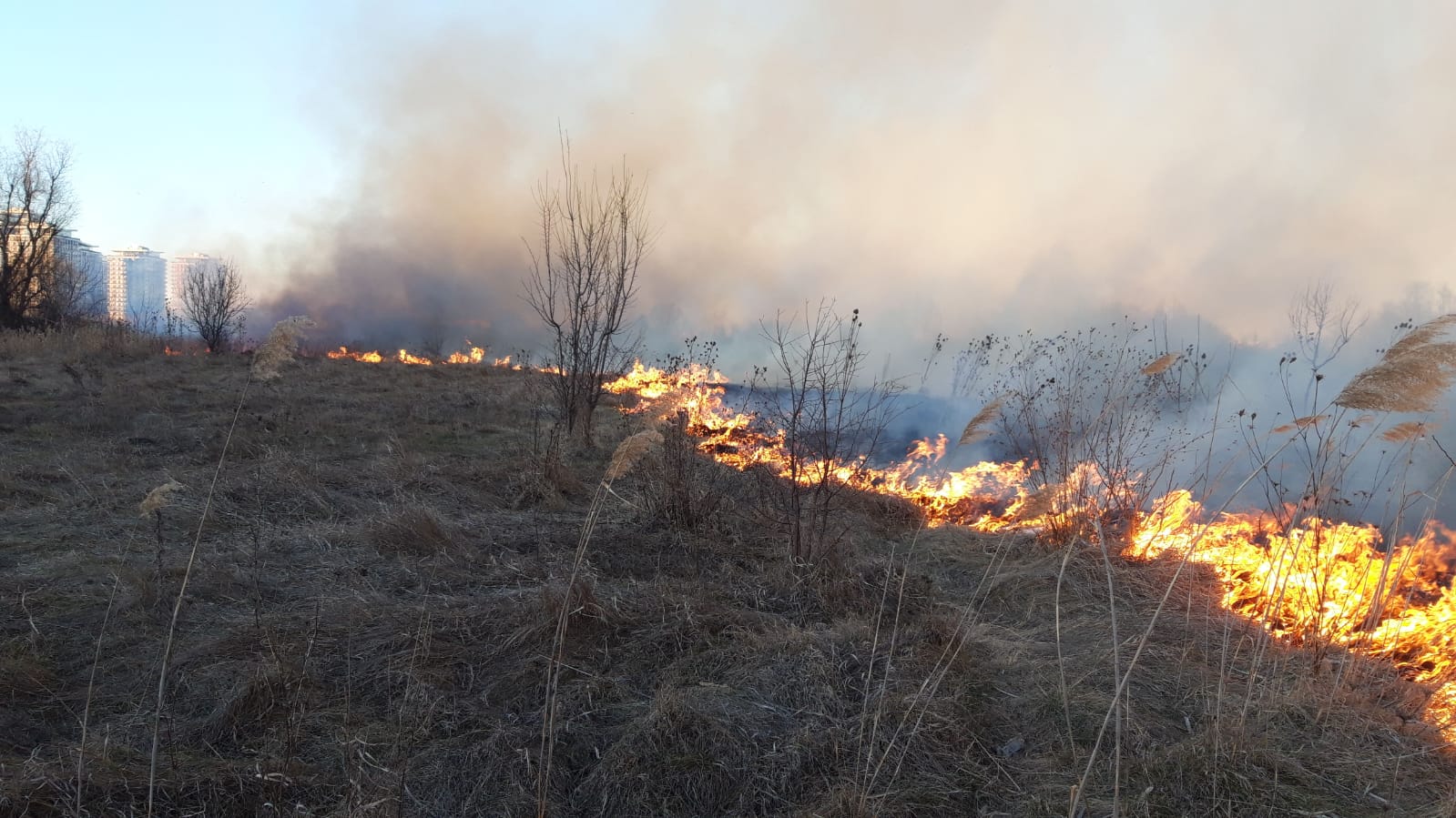Incendiu puternic în Delta Văcărești. ISU București: Focul a fost provocat