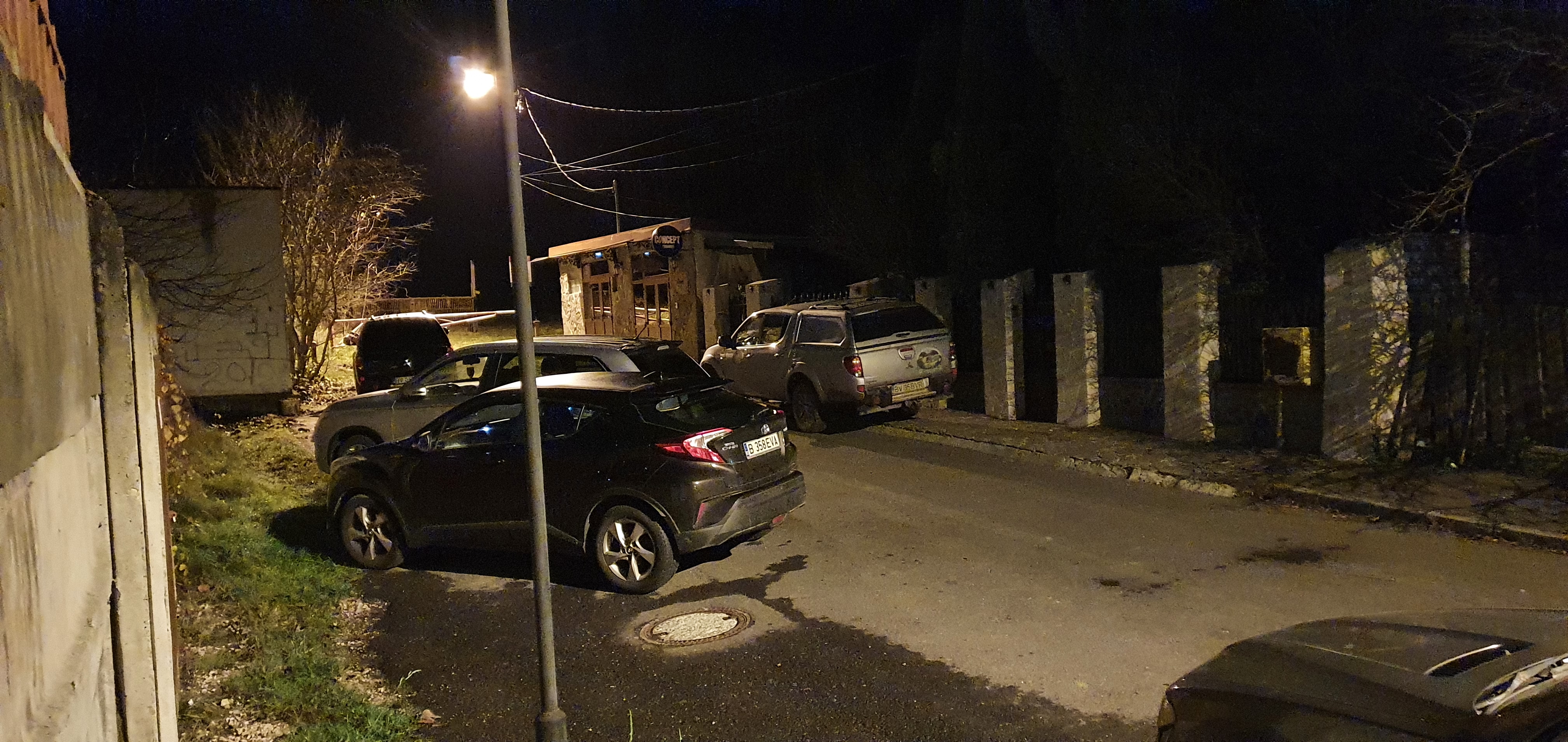 O ursoaică şi doi pui, capturați în Brașov, și-au găsit adăpost la Sanctuarul Libearty de la Zărneşti