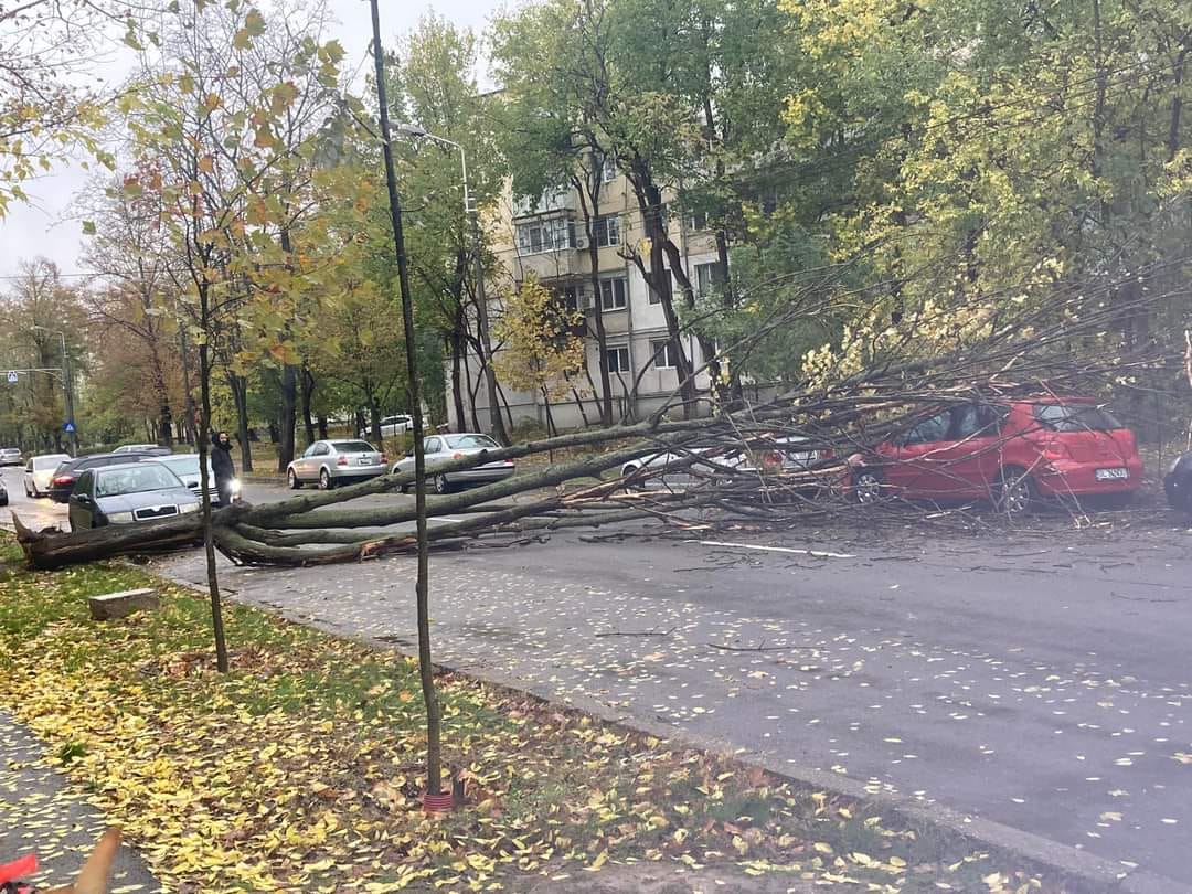 Viscolul și vijeliile au provocat pagube în peste 50 de localități din 16 județe. Care e situația acum