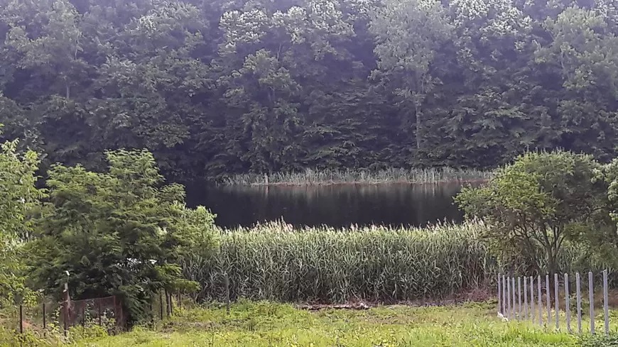 Imagini cu vila lui Fuego. Și-a construit casă într-un sat din Ilfov: „Am transformat piscina în dressing”