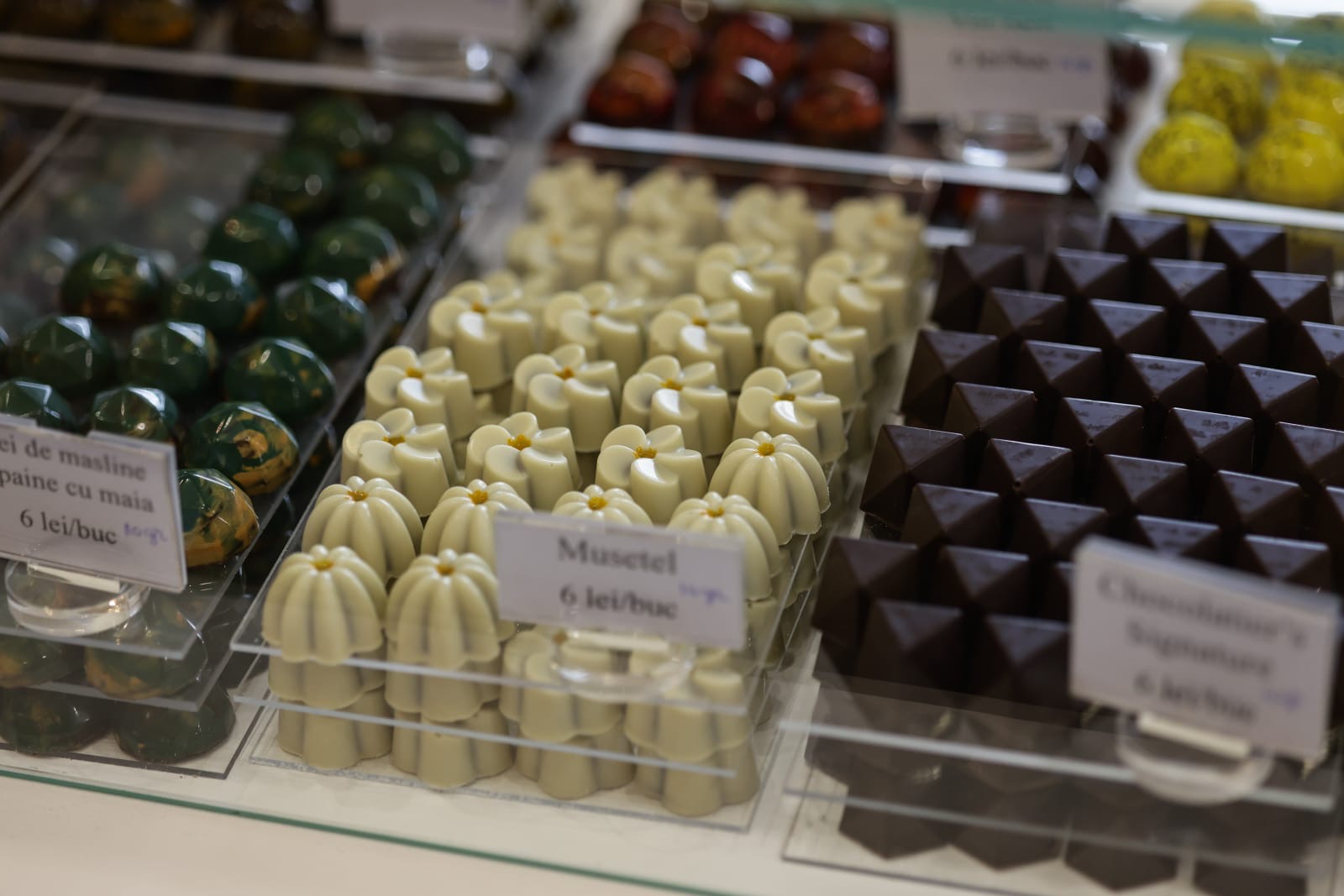 „Ciocolata lui Eminescu” și pralinele cu bere, vedetele festivalului Chocolate Saga, de la Biblioteca Națională