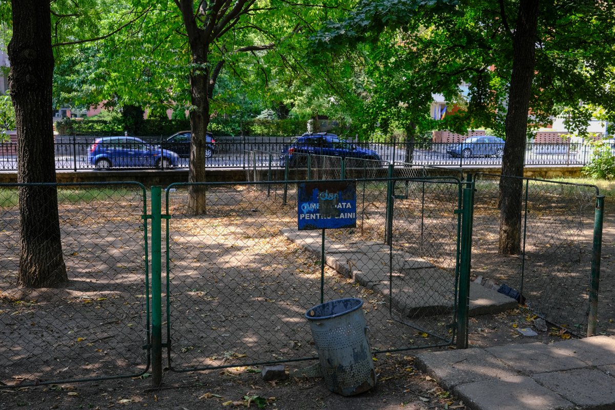Concesionarea Parcului Izvor, între „festivalizarea orașului” și „nu-l distrugem, îl facem mai frumos”