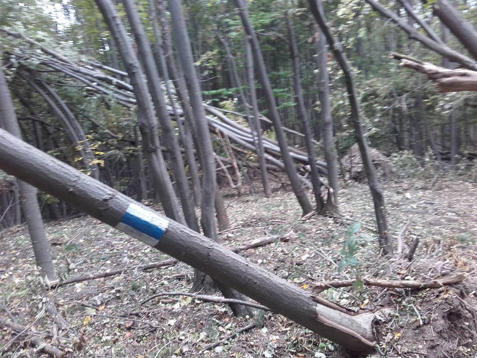 Traseele turistice din vestul Munților Zărandului, blocate parțial de arborii doborâți de vijelii