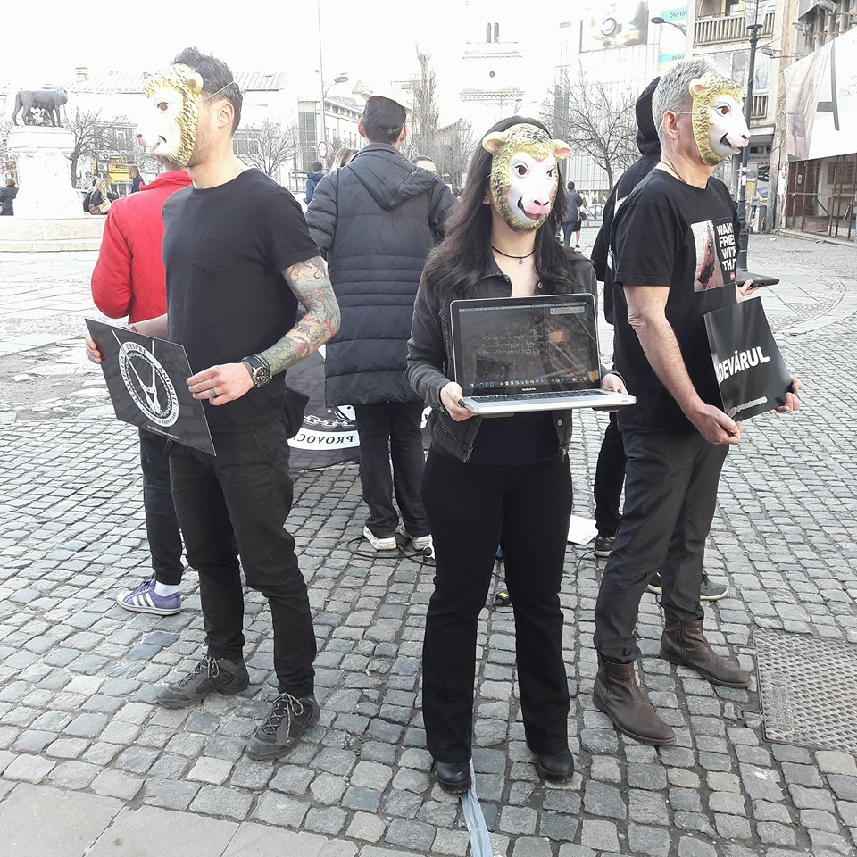 FOTO&VIDEO/ Veganii fac un flashmob la târgul de miei din București, în duminica Floriilor: „Oaia are inteligența unui copil de trei ani”