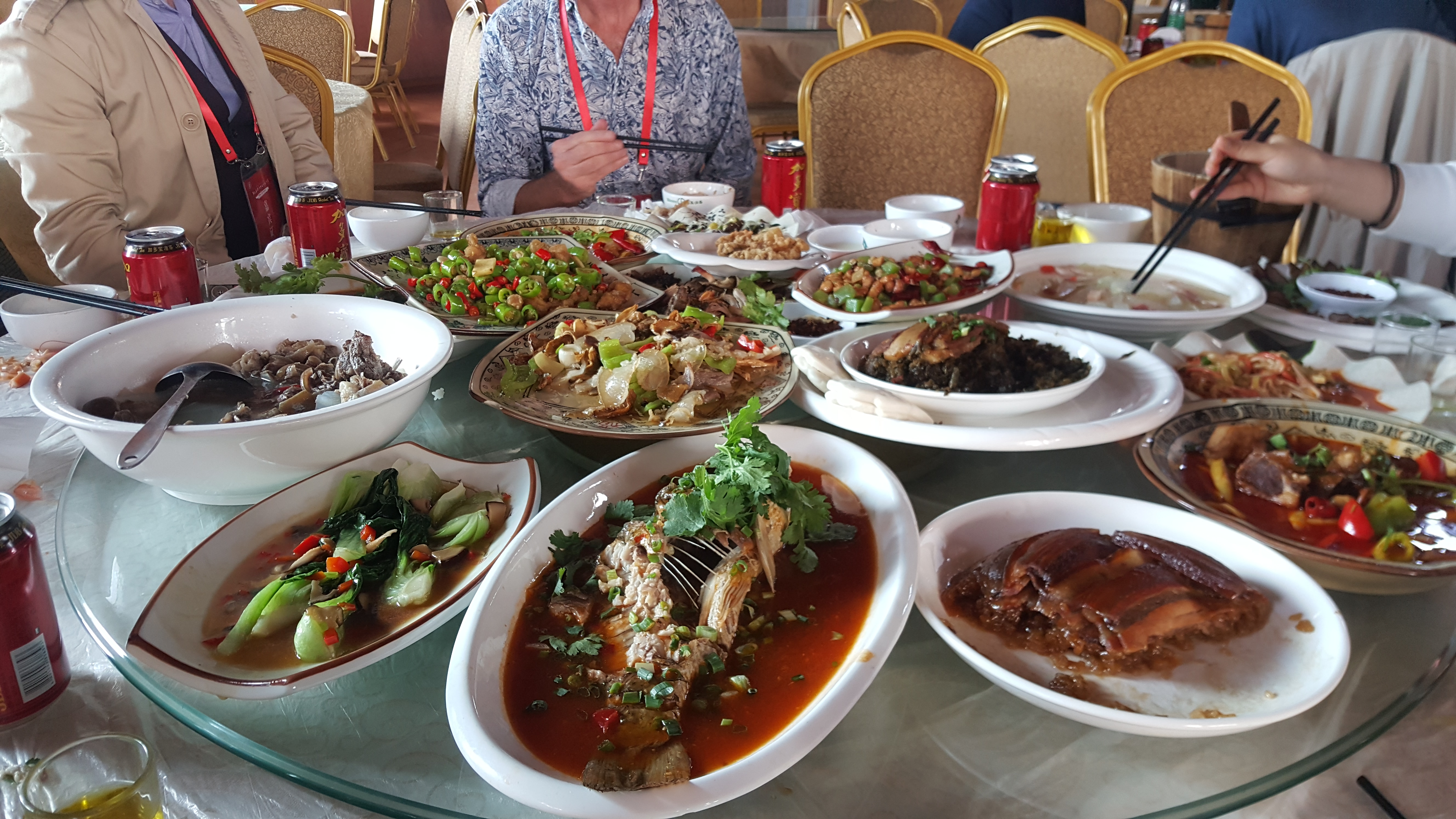 CORESPONDENȚĂ DIN SICHUAN, CAPITOLUL 1 | Scriitoarea Doina Ruști, despre primul contact cu uimitorul ținut Sichuan