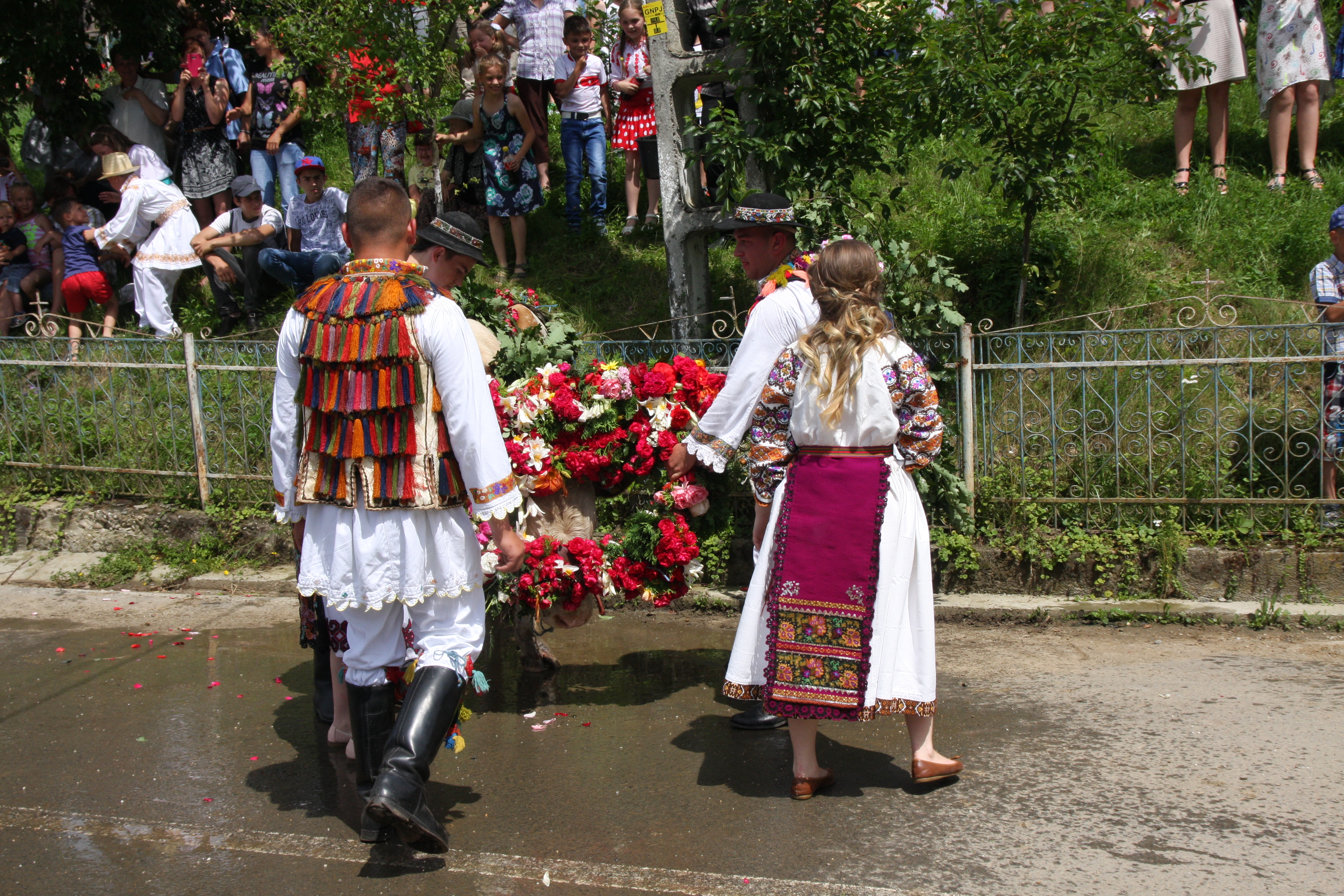 Val de nunţi la Figa după ce fetele au prins boul de Rusalii | GALERIE FOTO
