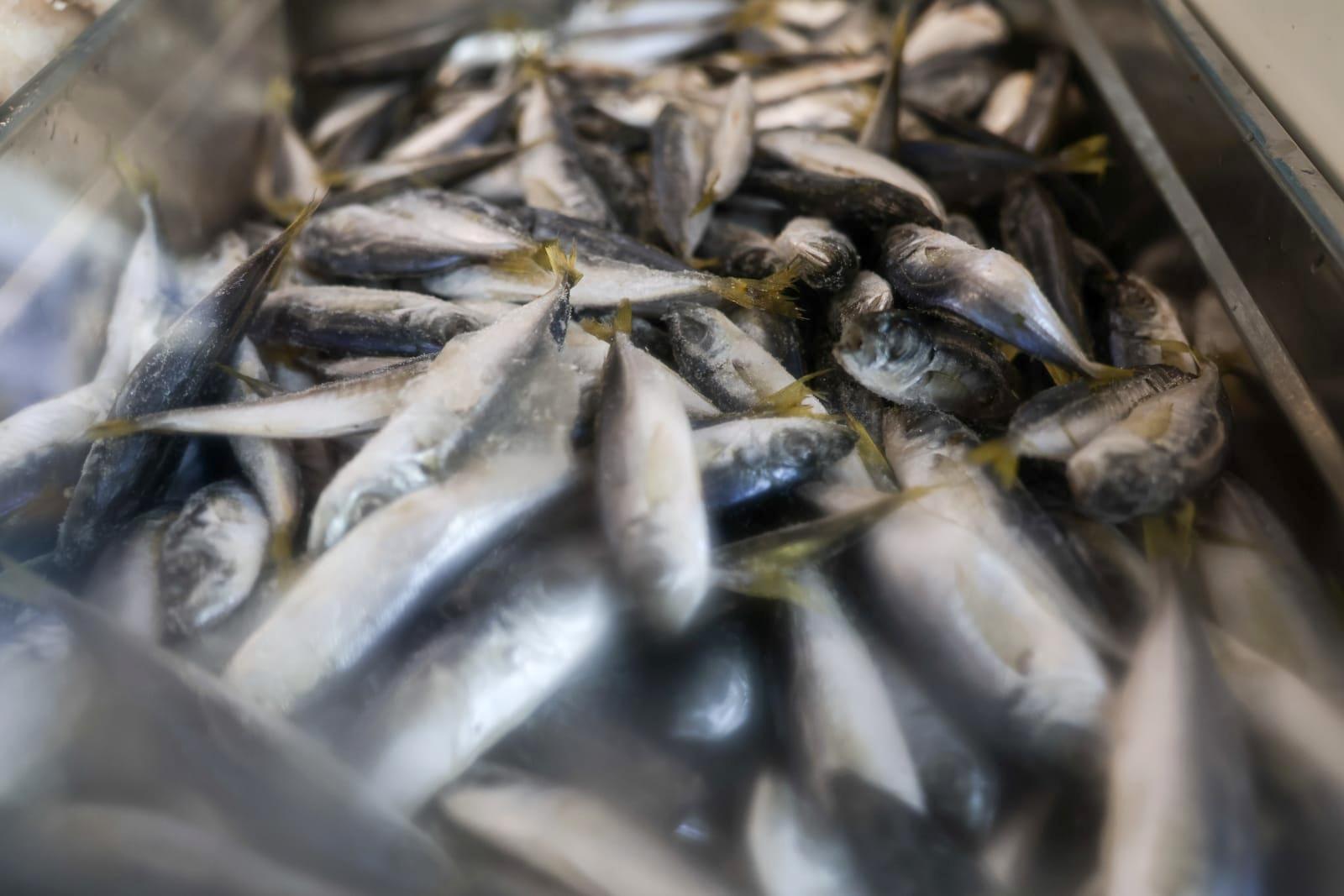 Borș pescăresc și mici din pește sub privirile bucureștenilor. Cât a ajuns să coste un kilogram de cozonac la târgul pescăresc de Florii