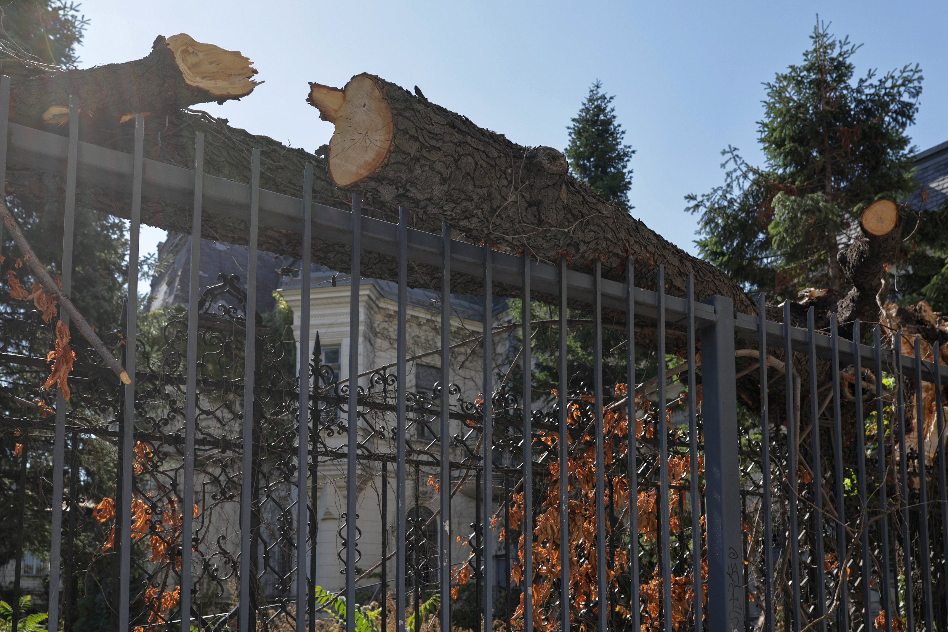 Palatul Maurice Blank