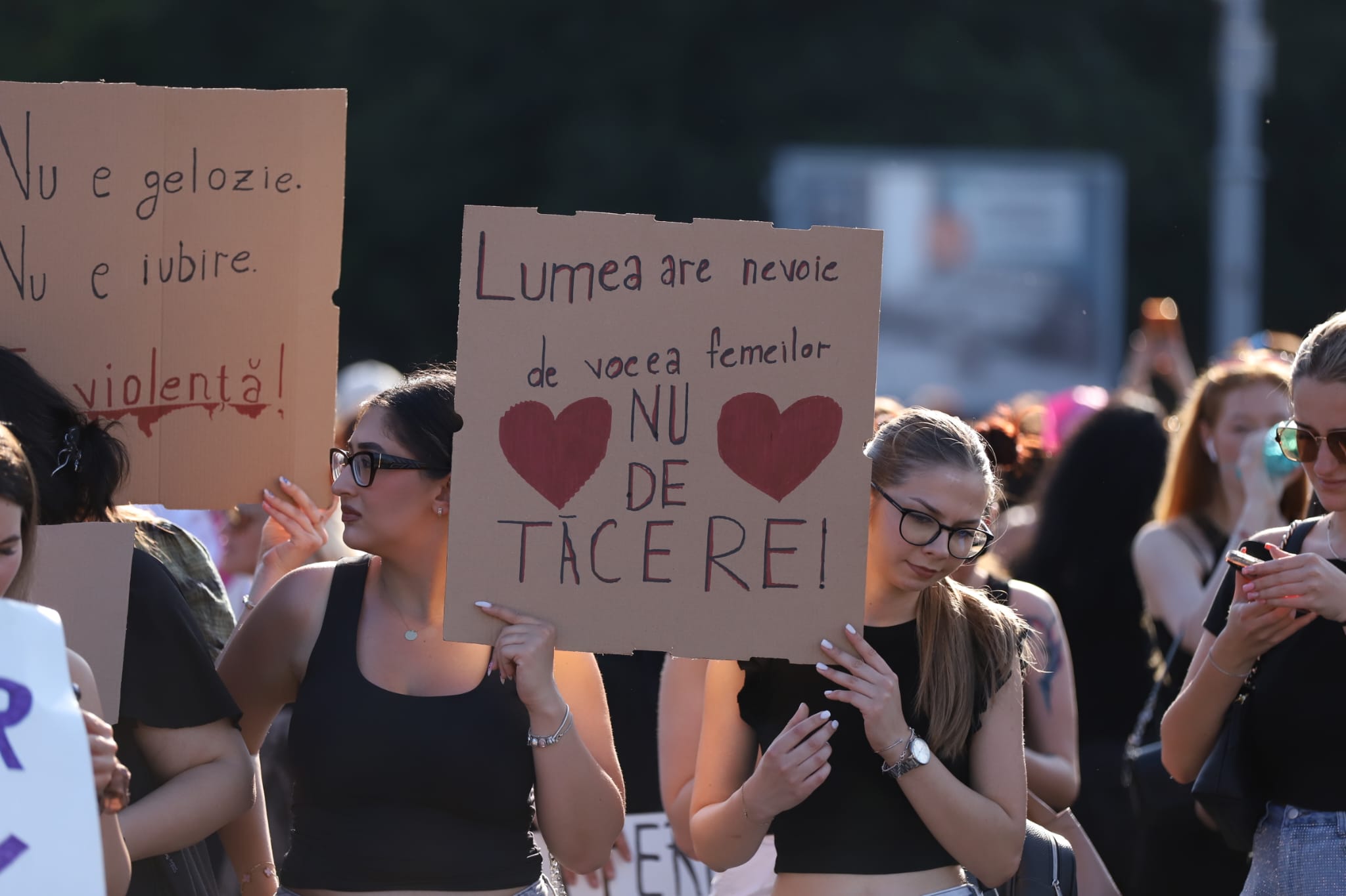 Miting de solidaritate cu femeile victime ale abuzului, în faţa Guvernului, după uciderea Teodorei Marcu. Peste 3.000 de persoane la protest