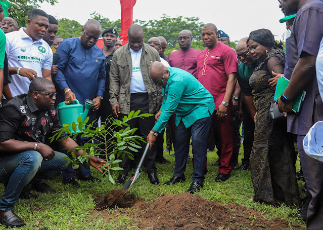 Green Ghana Day: We have planted 42 million trees nationwide — Lands Minister