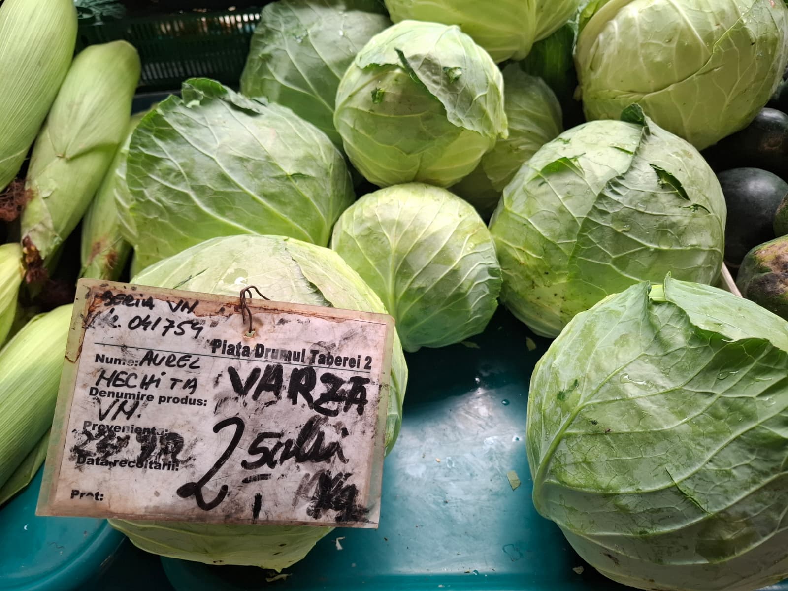 Cât costă să murezi varză albă de Buzău pentru sărmăluțe și friptură: prețurile din piețele din București