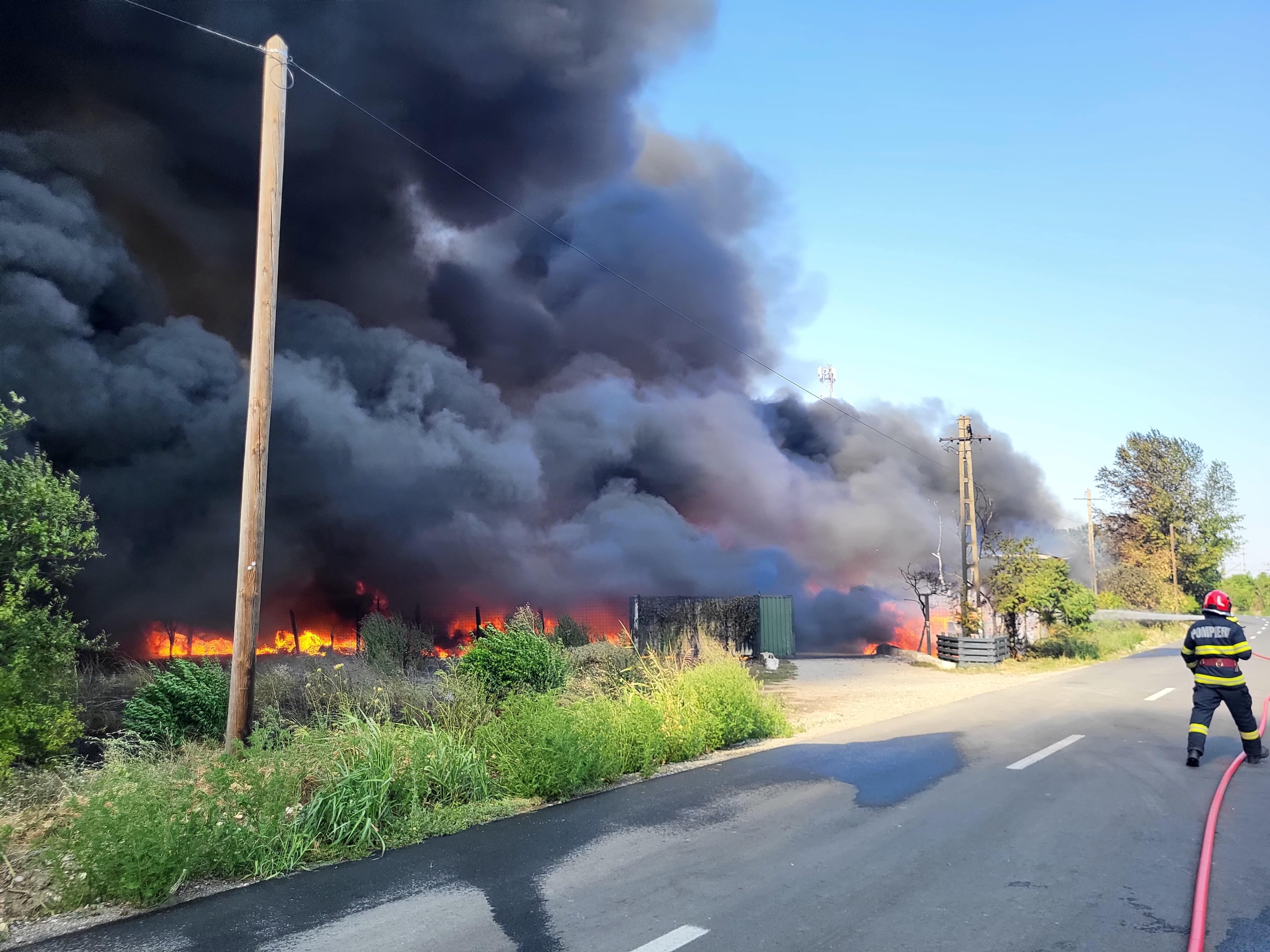 Mesaj RO-Alert, emis după ce zeci de hectare de vegetație uscată din Giurgiu și Mehedinți au fost cuprinse de flăcări